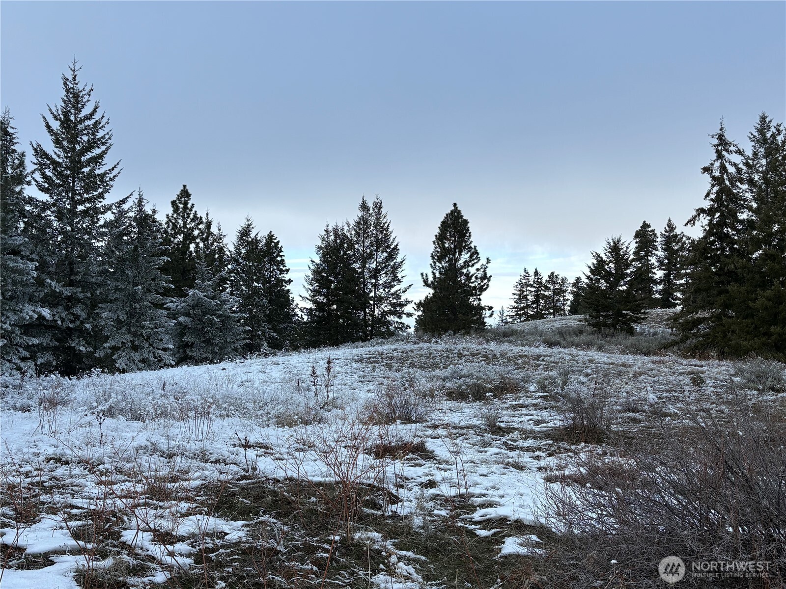 0 Redfield Road Waterville, WA 98858 - Photo 12 of 13