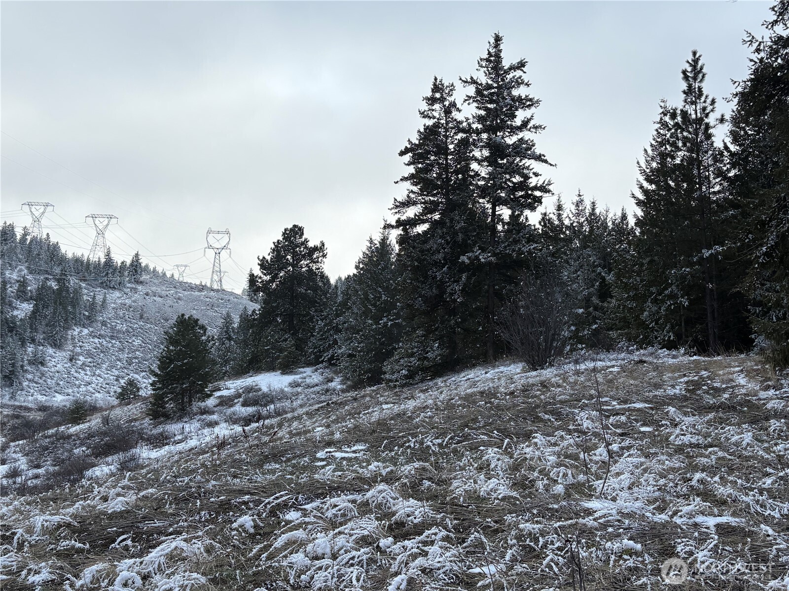 0 Redfield Road Waterville, WA 98858 - Photo 13 of 13