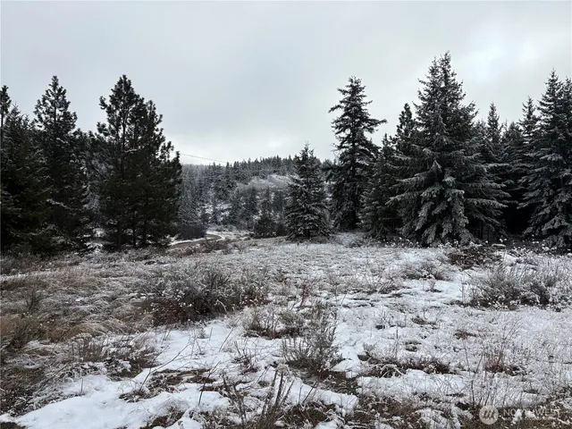 a view of a dry yard with trees in the background