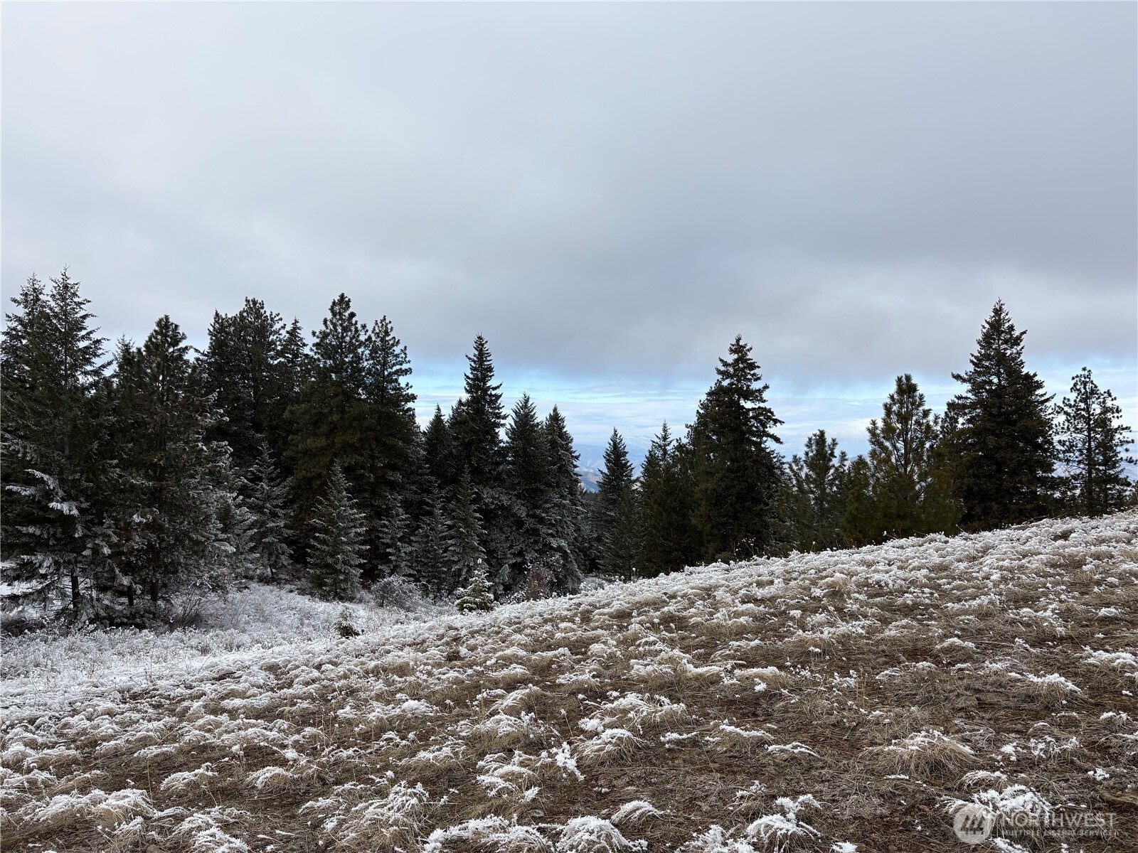 0 Redfield Road Waterville, WA 98858 - Photo 4 of 13