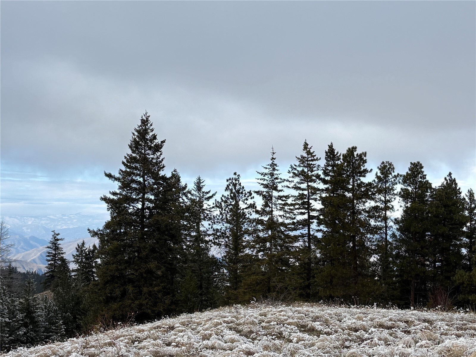 0 Redfield Road Waterville, WA 98858 - Photo 5 of 13