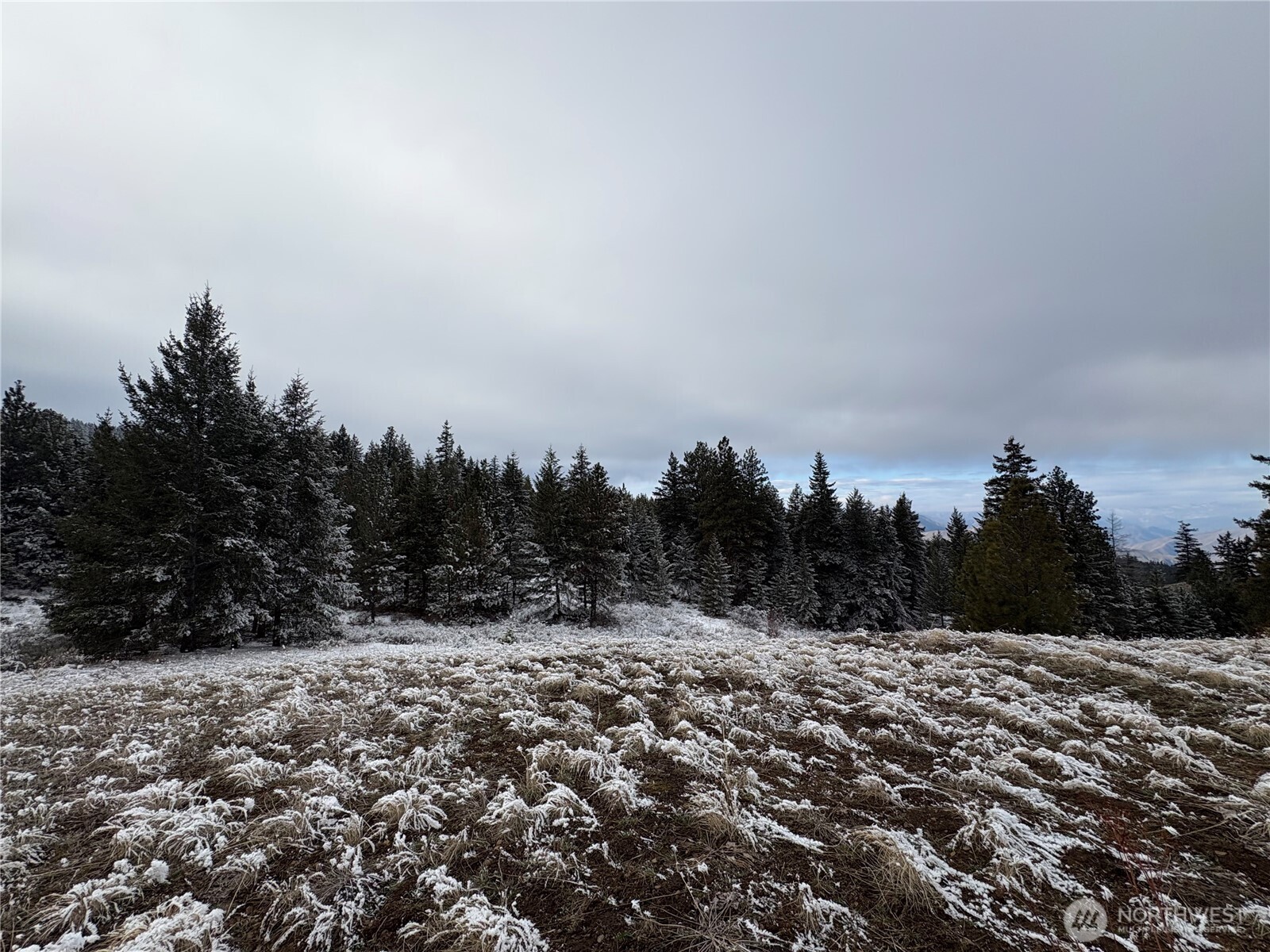 0 Redfield Road Waterville, WA 98858 - Photo 7 of 13