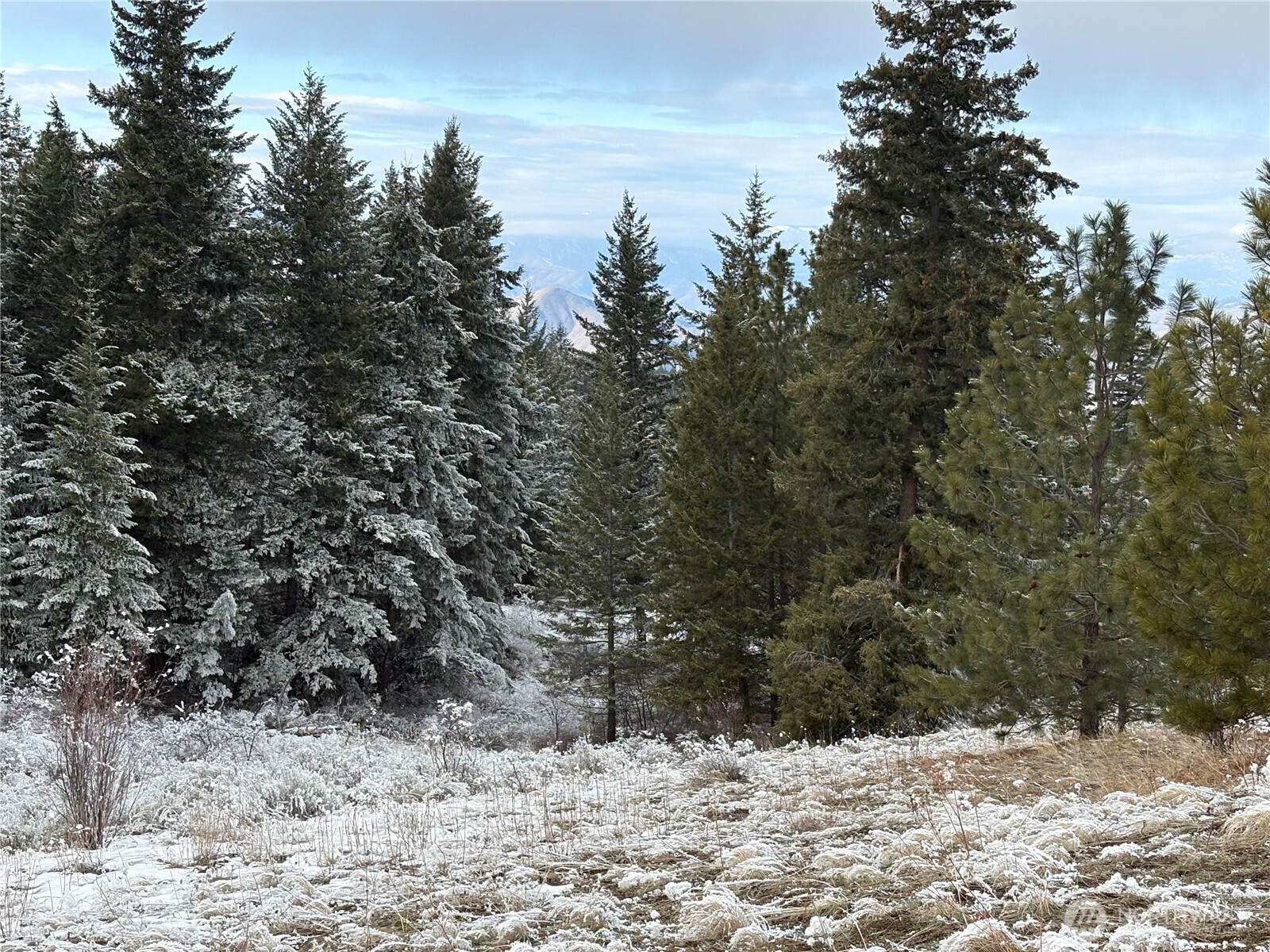 0 Redfield Road Waterville, WA 98858 - Photo 8 of 13