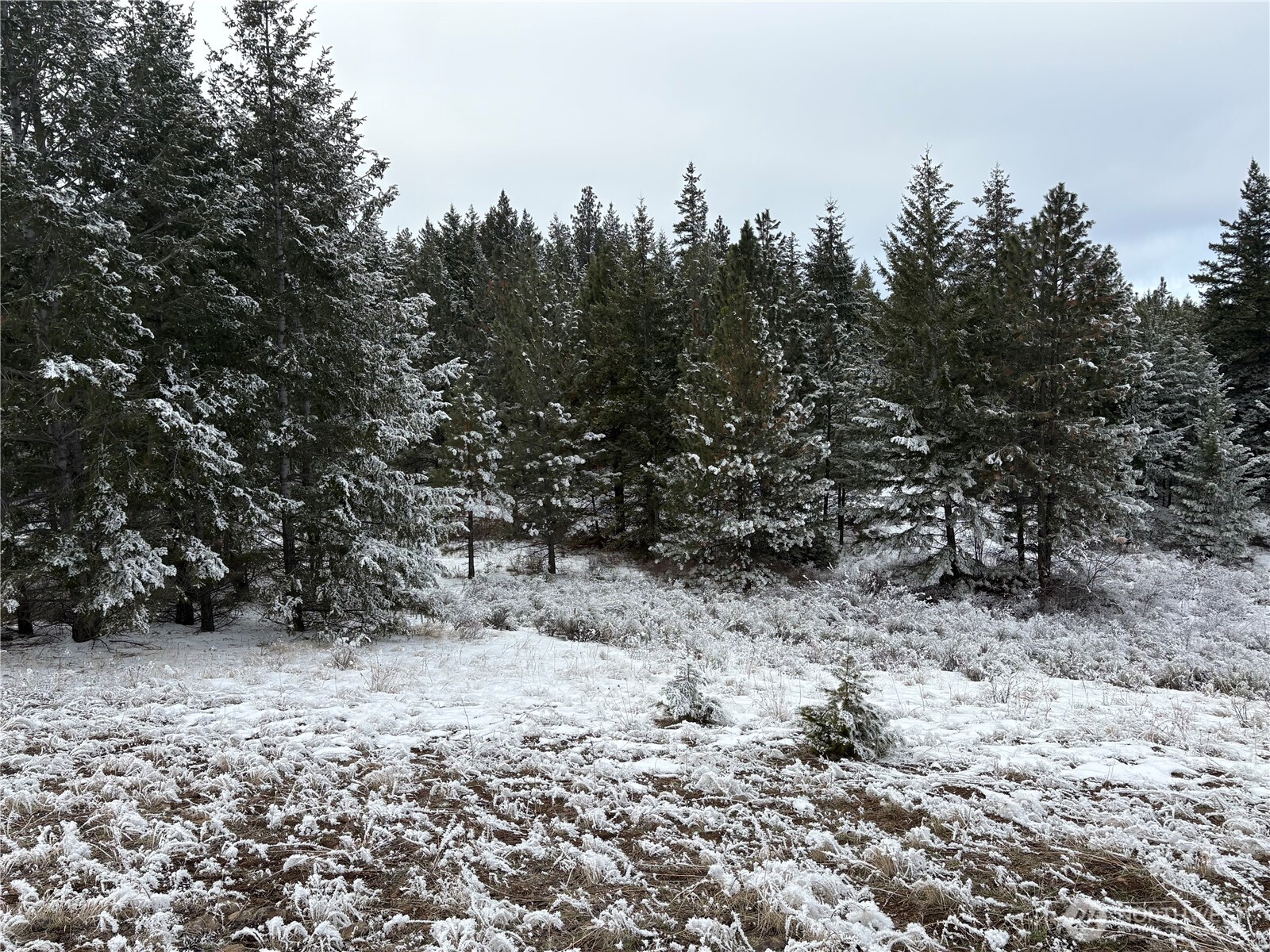 0 Redfield Road Waterville, WA 98858 - Photo 9 of 13