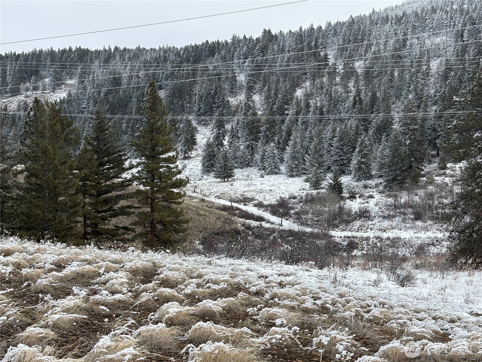 0 Redfield Road Waterville, WA 98858 - Photo 10 of 13