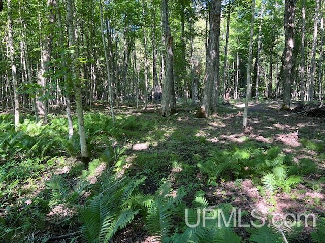 11.6 Acres Off Remington Road Marquette, MI 49855 - Photo 20 of 39