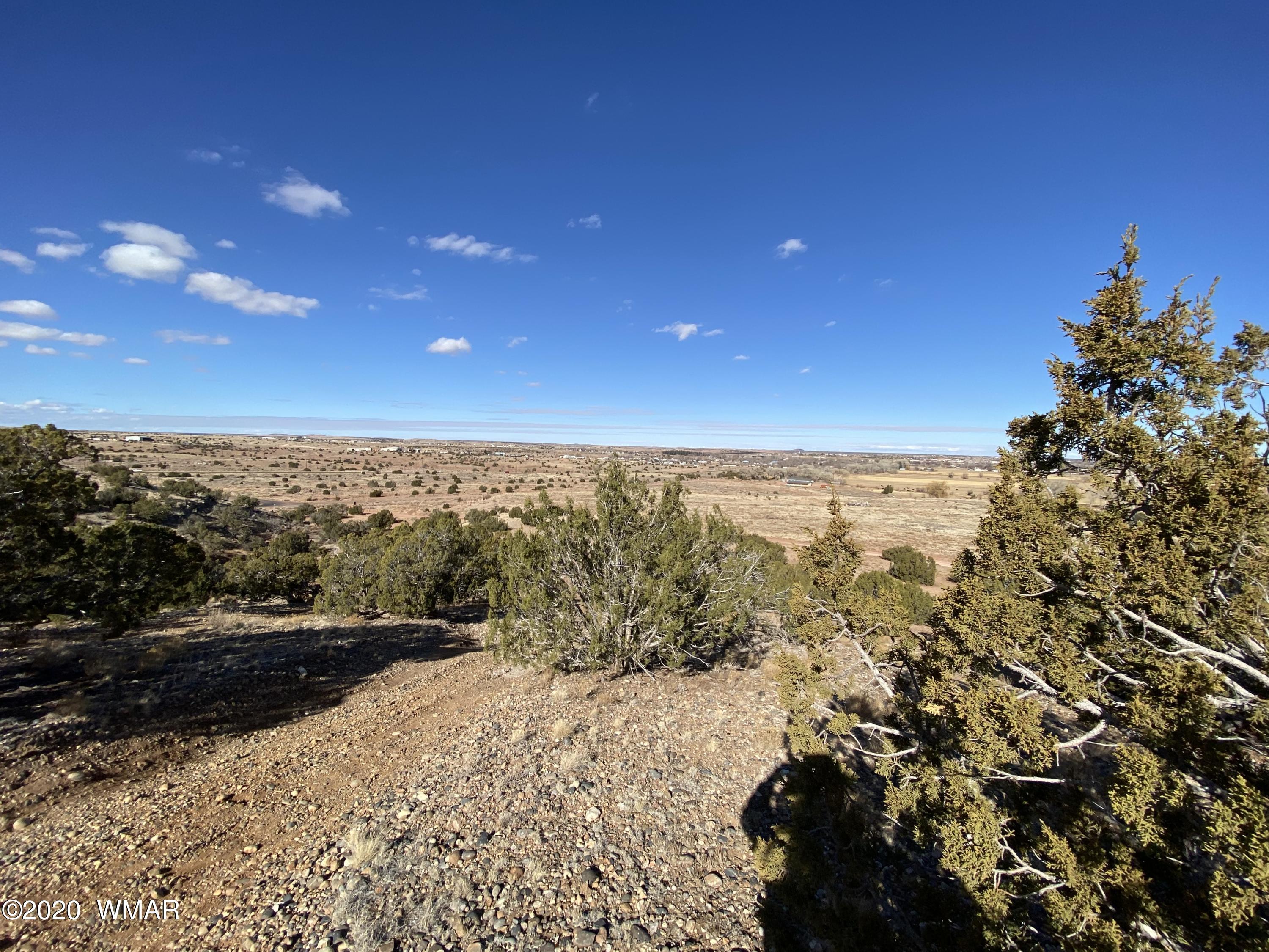 Tbd Old School House Road Taylor, AZ 85939 - Photo 15 of 25