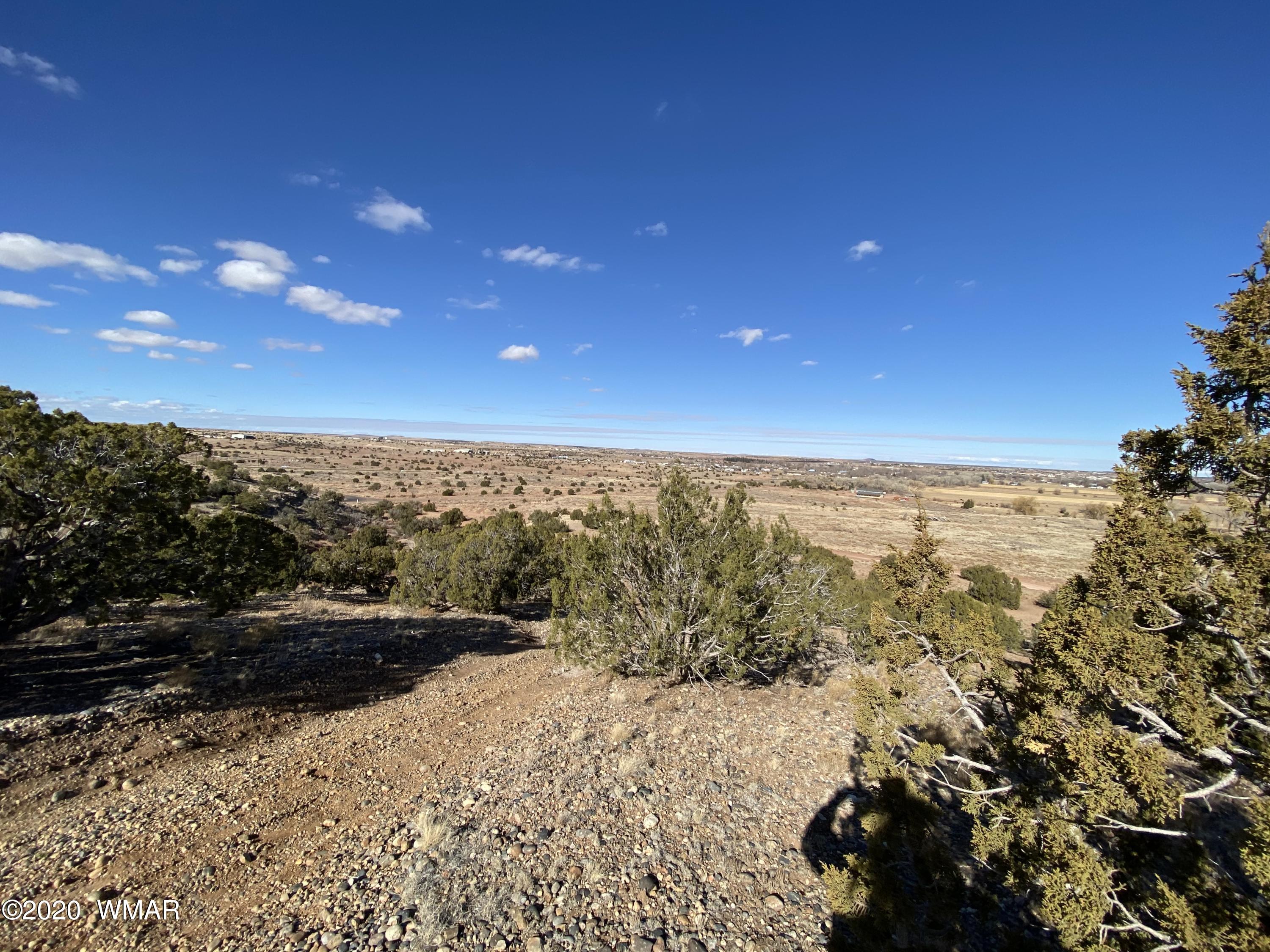 Tbd Old School House Road Taylor, AZ 85939 - Photo 17 of 25
