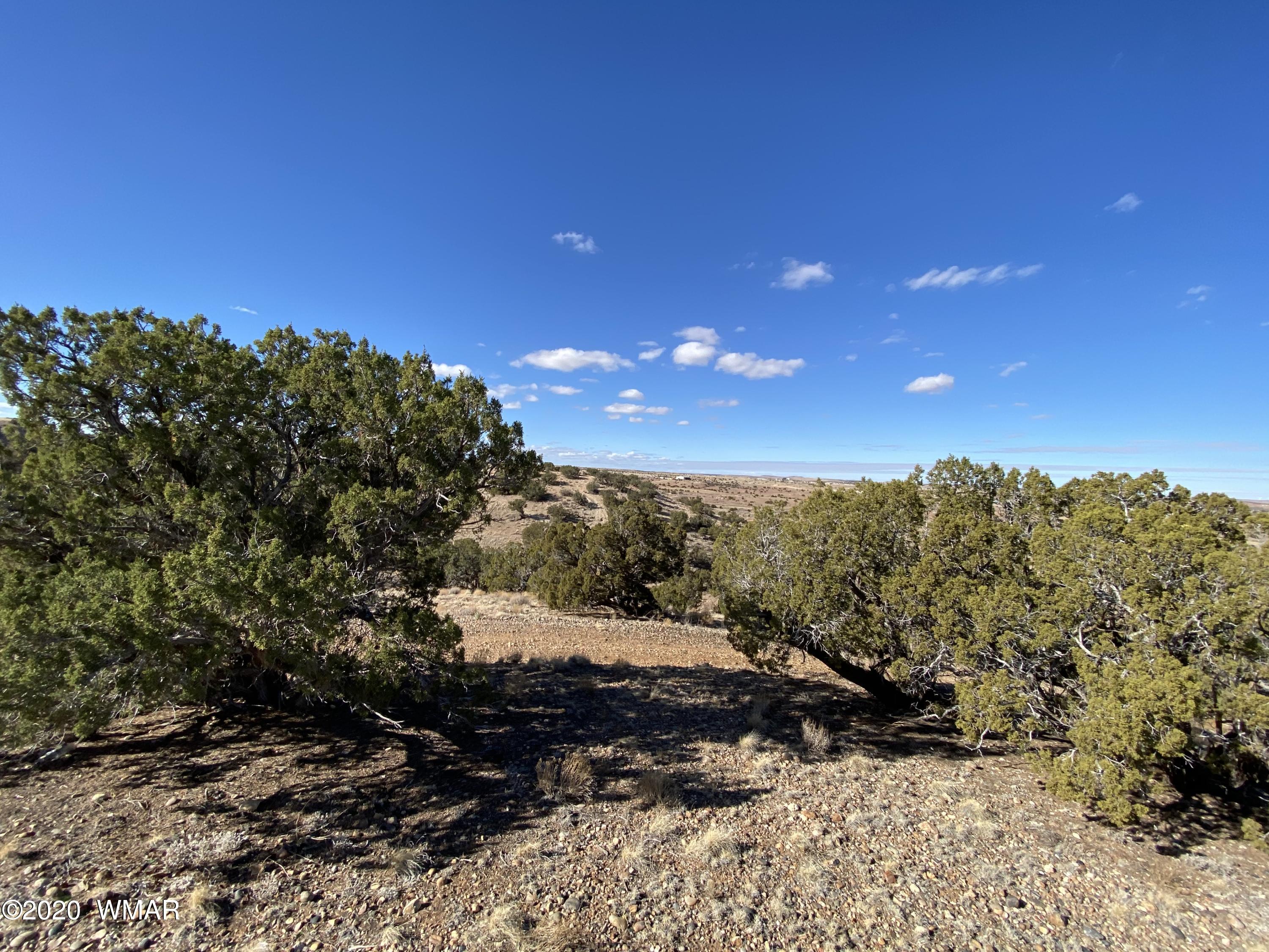 Tbd Old School House Road Taylor, AZ 85939 - Photo 18 of 25