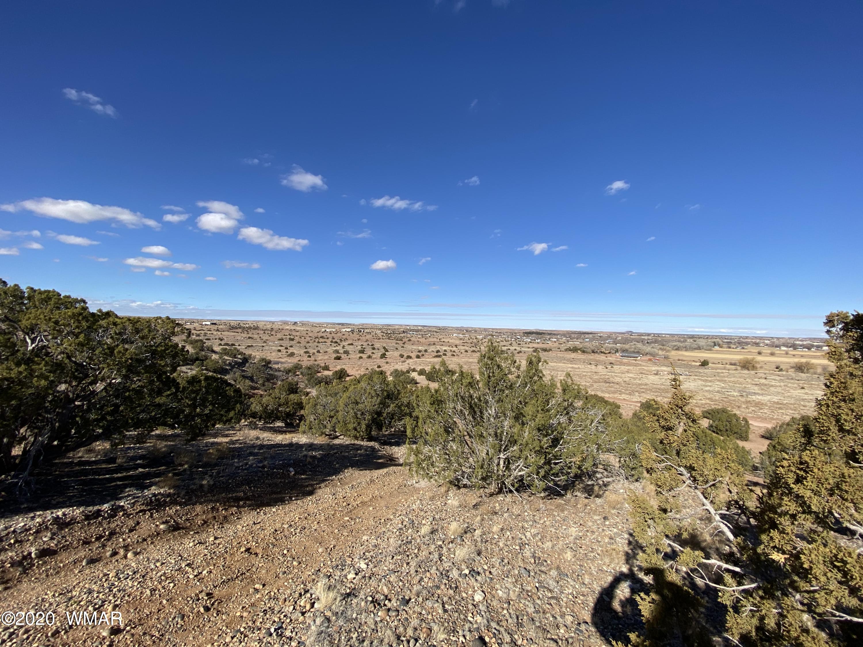 Tbd Old School House Road Taylor, AZ 85939 - Photo 19 of 25