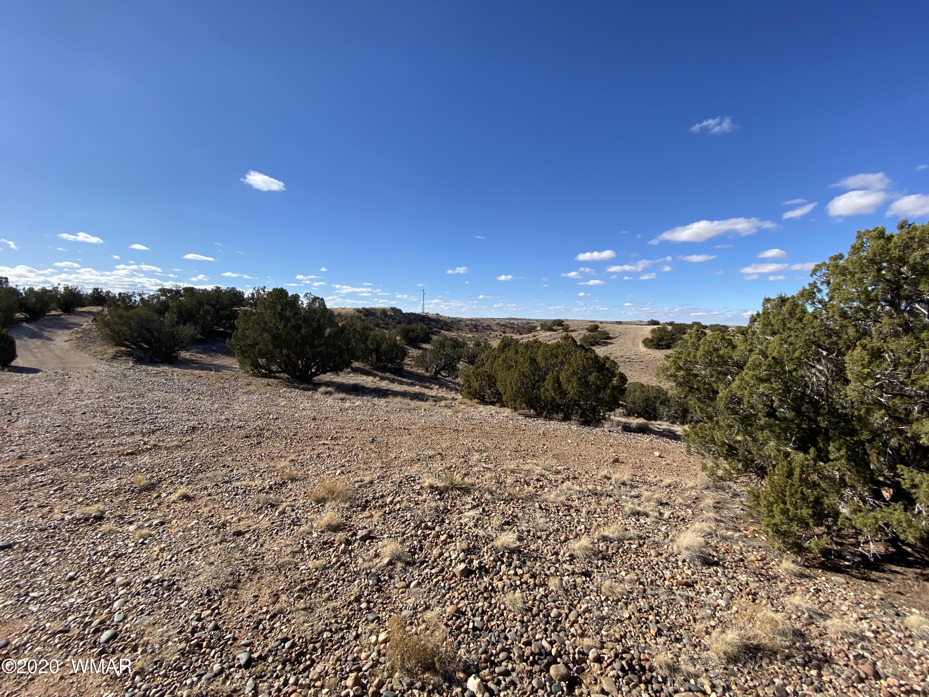 Tbd Old School House Road Taylor, AZ 85939 - Photo 20 of 25