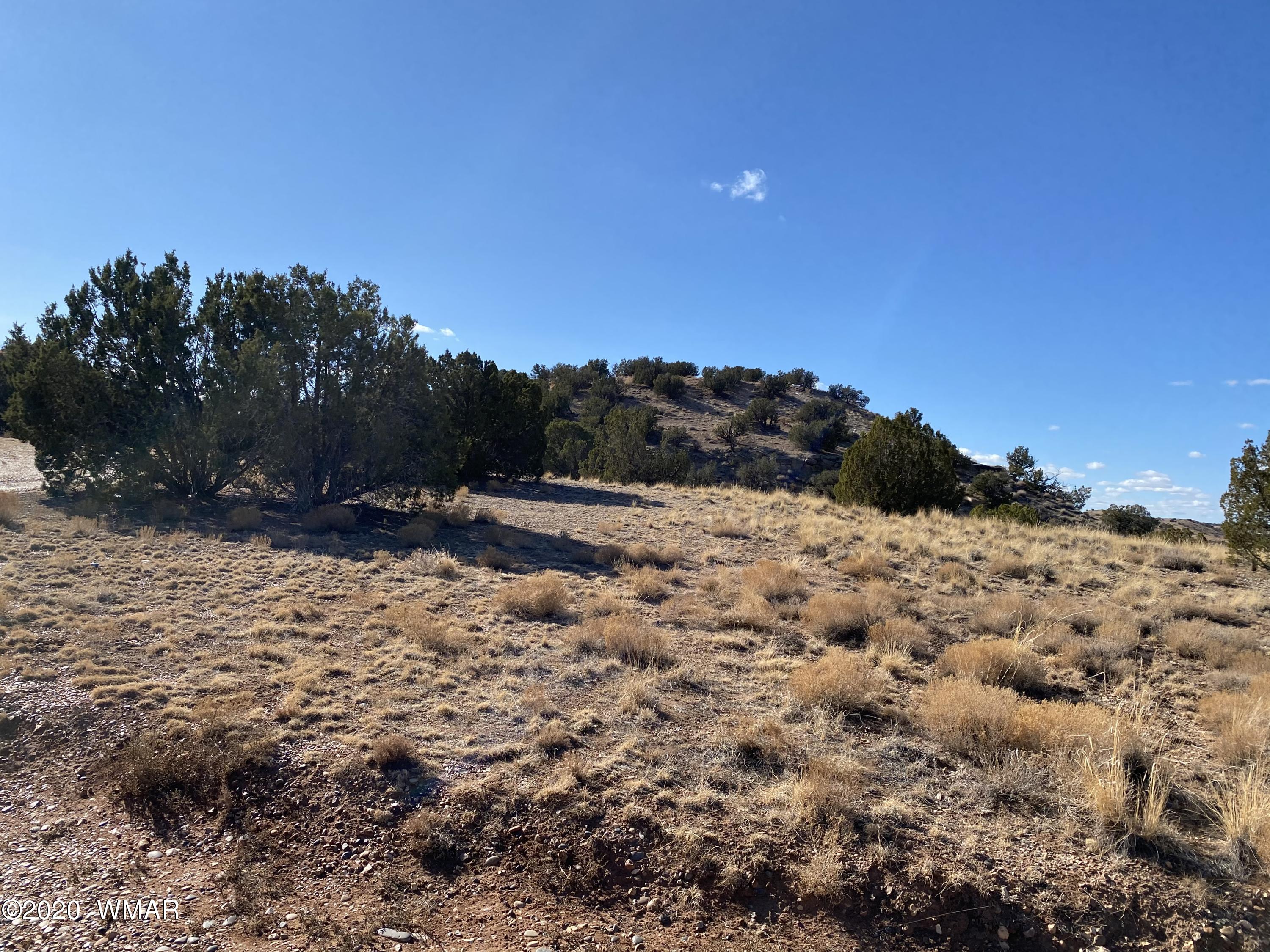 Tbd Old School House Road Taylor, AZ 85939 - Photo 21 of 25