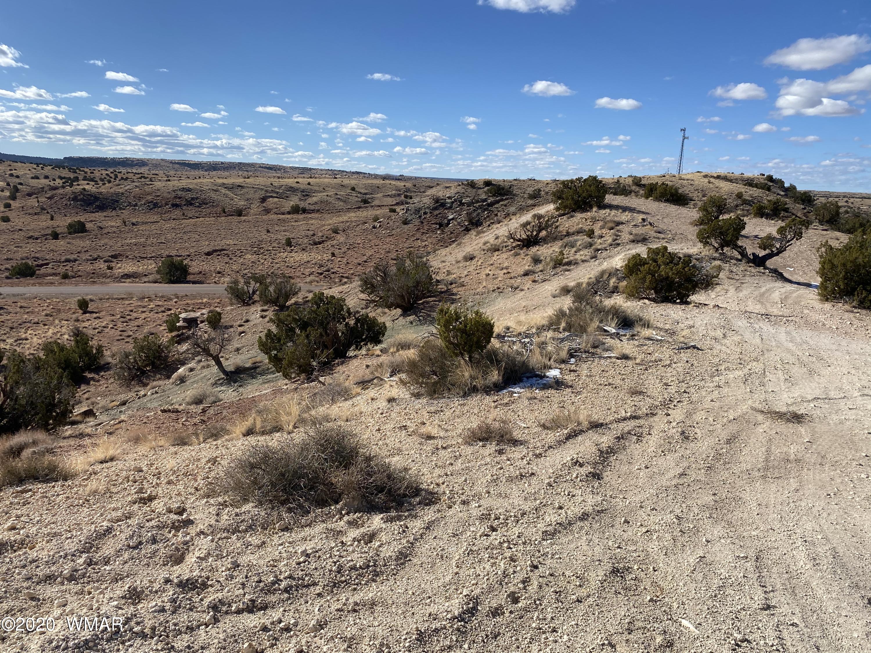 Tbd Old School House Road Taylor, AZ 85939 - Photo 5 of 25