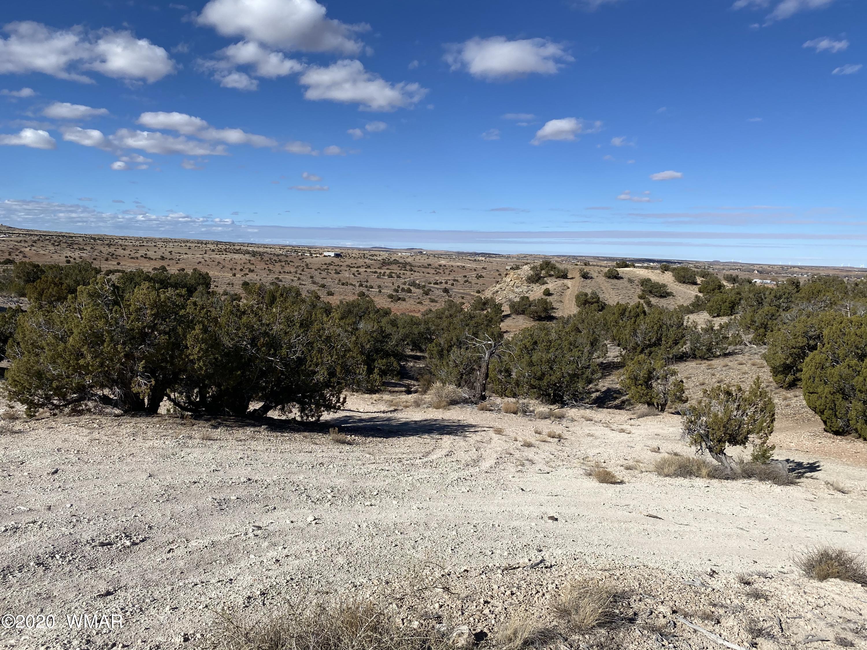Tbd Old School House Road Taylor, AZ 85939 - Photo 6 of 25