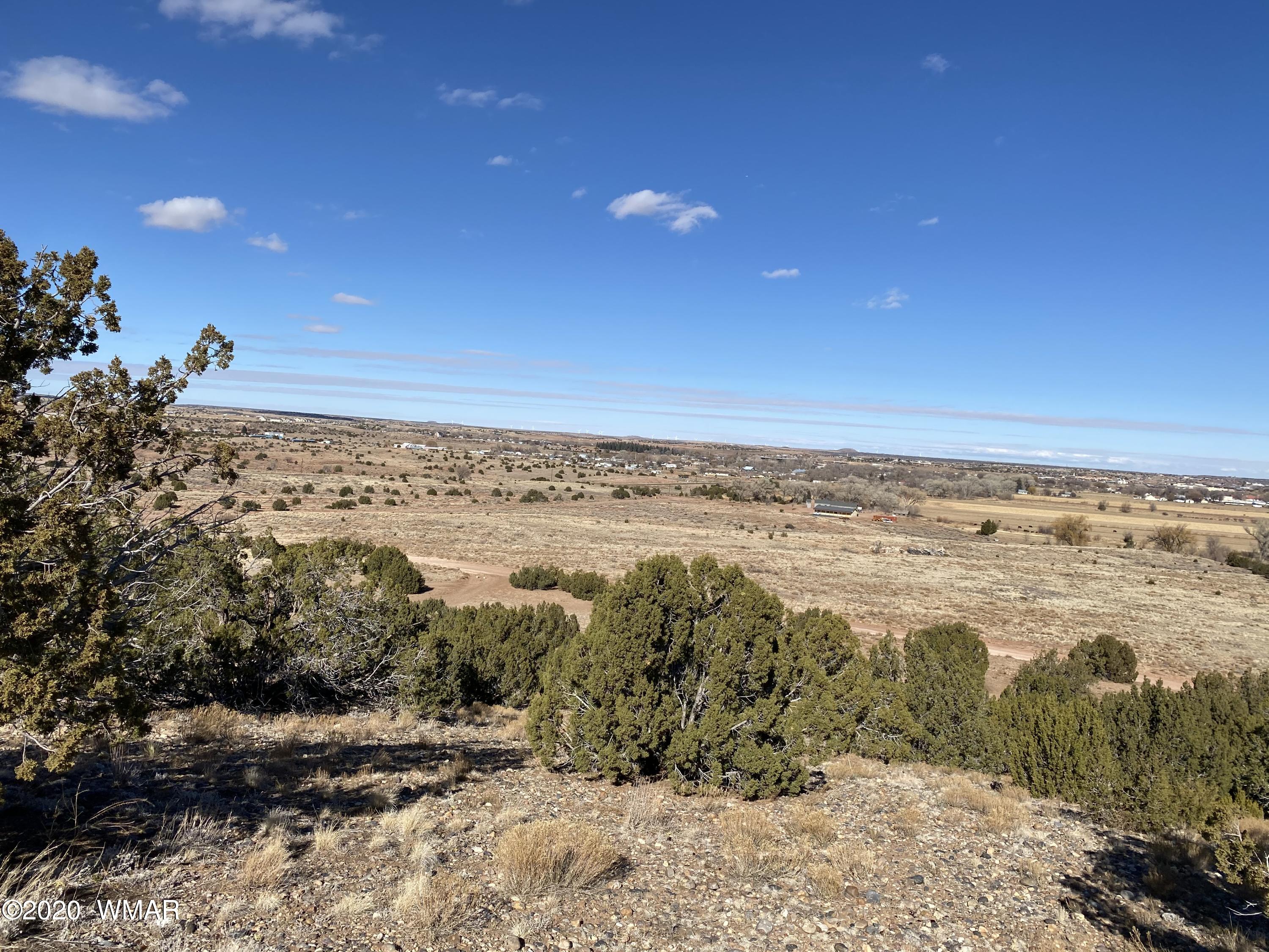 Tbd Old School House Road Taylor, AZ 85939 - Photo 8 of 25