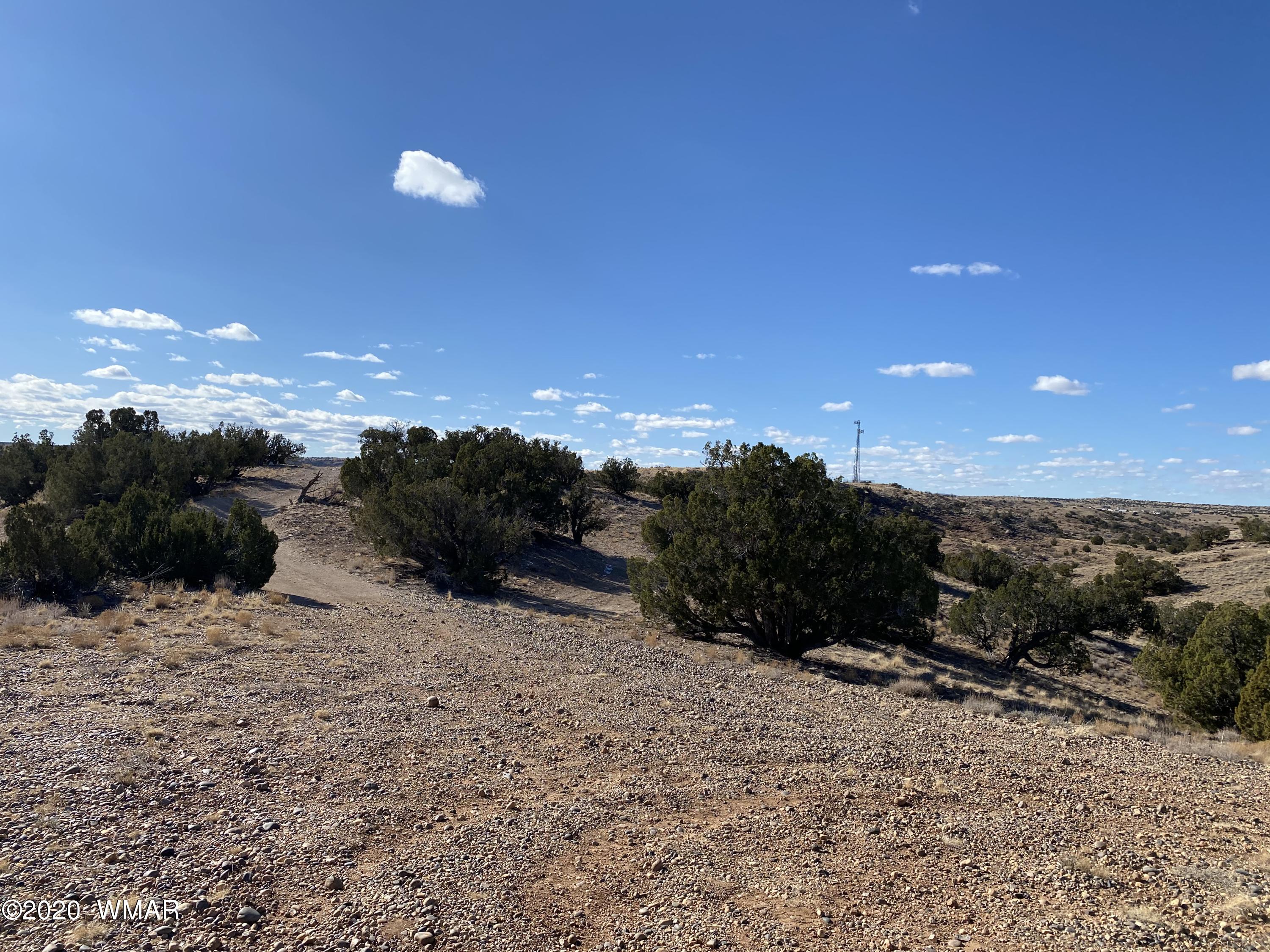 Tbd Old School House Road Taylor, AZ 85939 - Photo 10 of 25