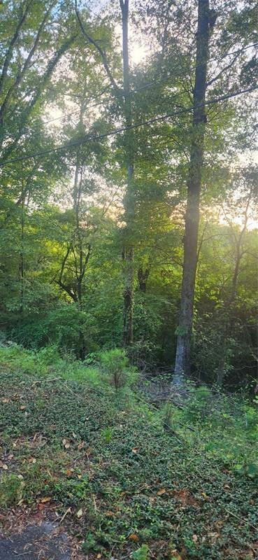 0 Summit Circle Rome, GA 30161 - Photo 1 of 1 a view of a lush green forest