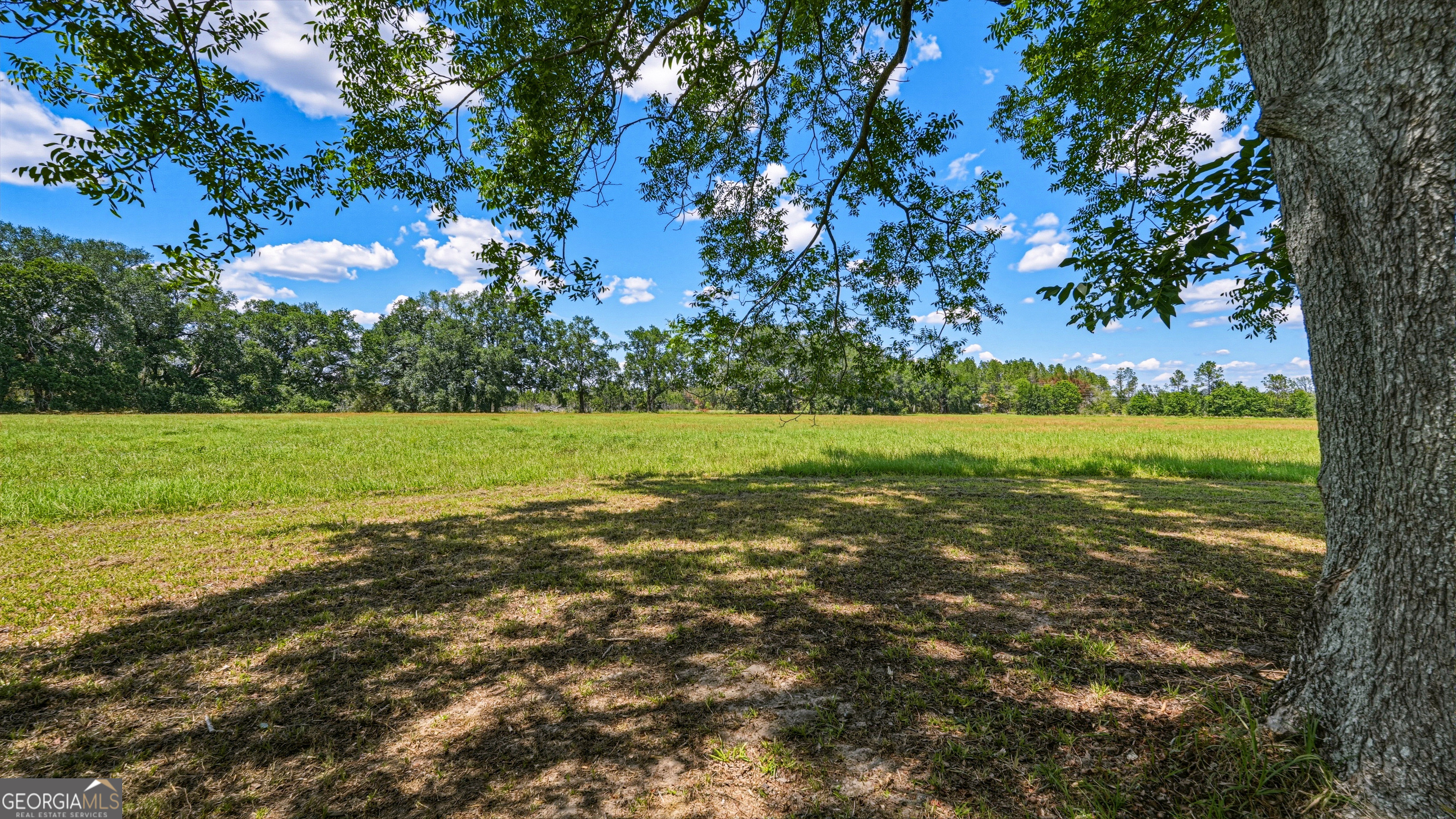 0 Ritch Church Road Screven, GA 31560 - Photo 39 of 43