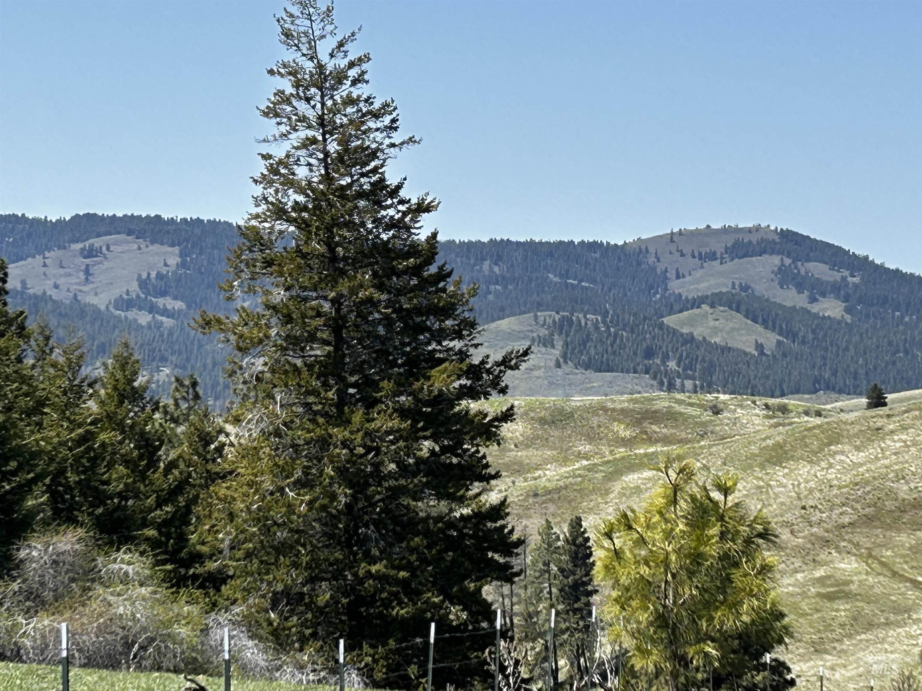 3534 Advent Gulch Road Cambridge, ID 83610 - Photo 25 of 35