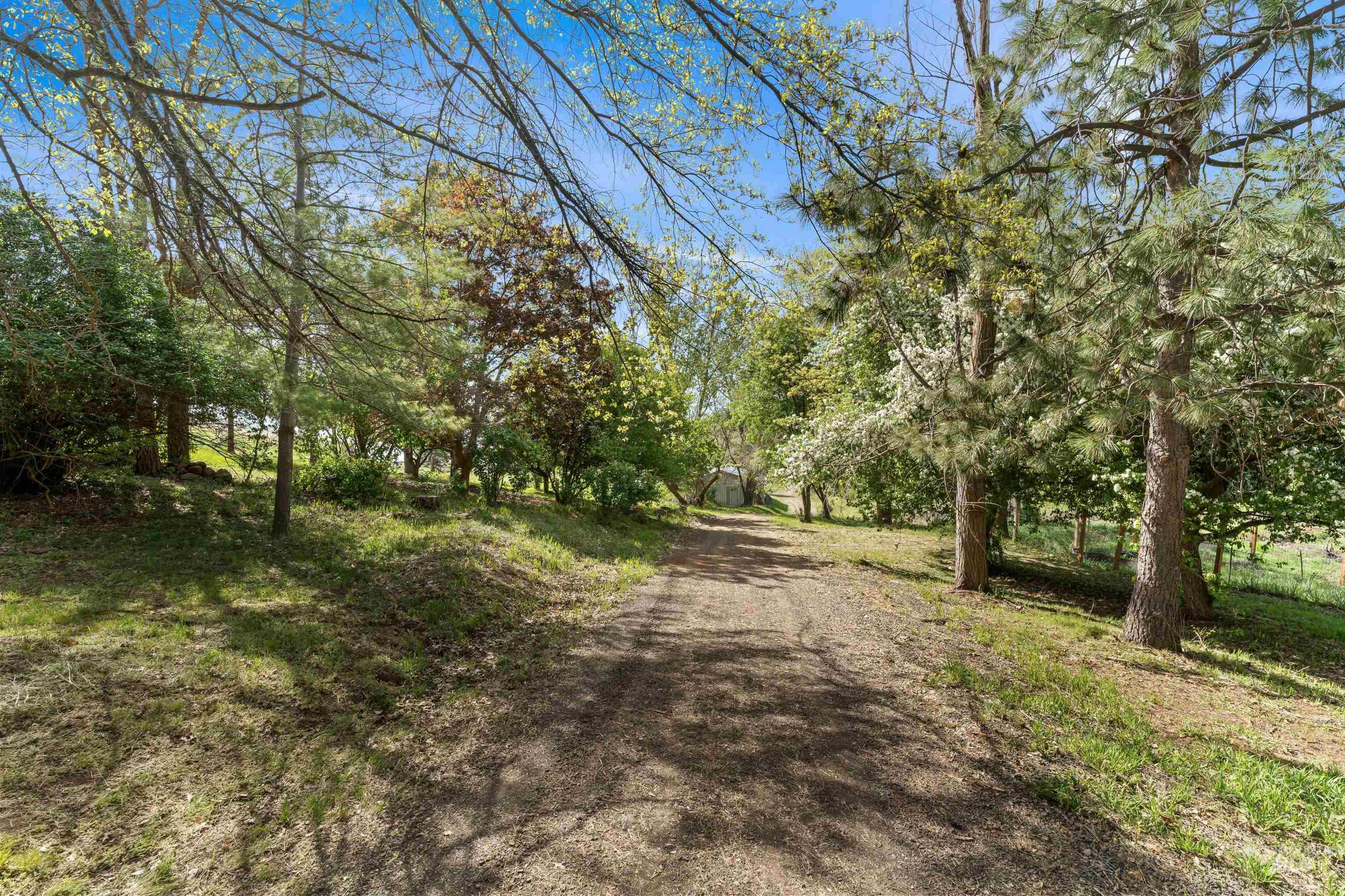 3534 Advent Gulch Road Cambridge, ID 83610 - Photo 10 of 35