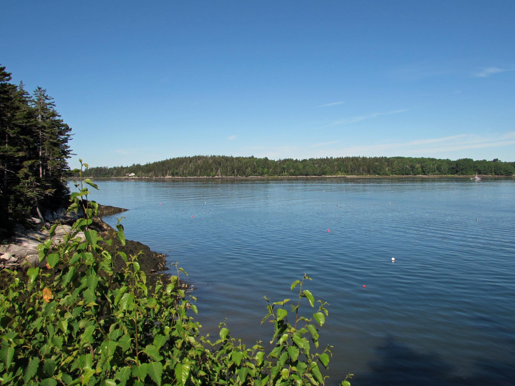 219 Otis Point Road St. George, ME 04860 - Photo 13 of 21 219 Otis Pointview2
