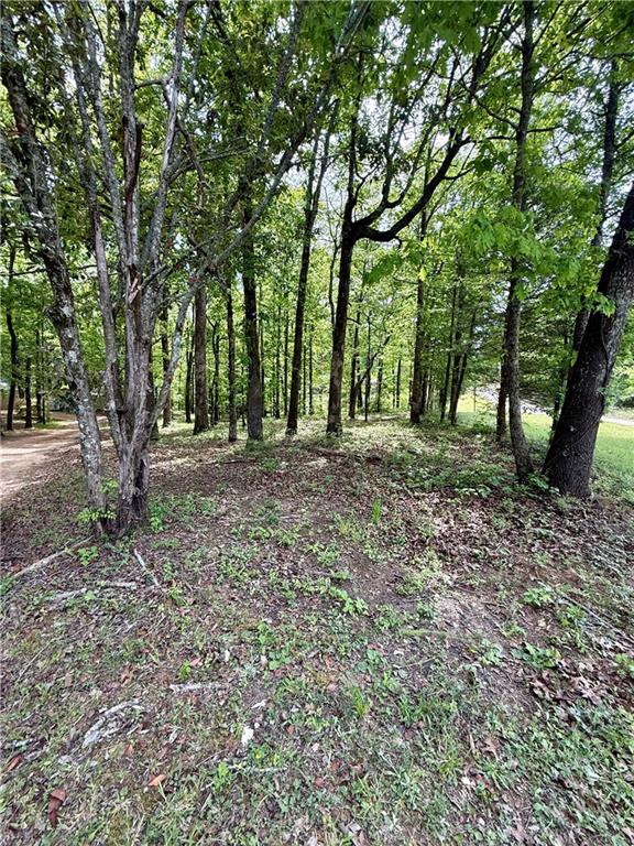 27 Hawks Trail Newborn, GA 30056 - Photo 29 of 33 a view of outdoor space with trees
