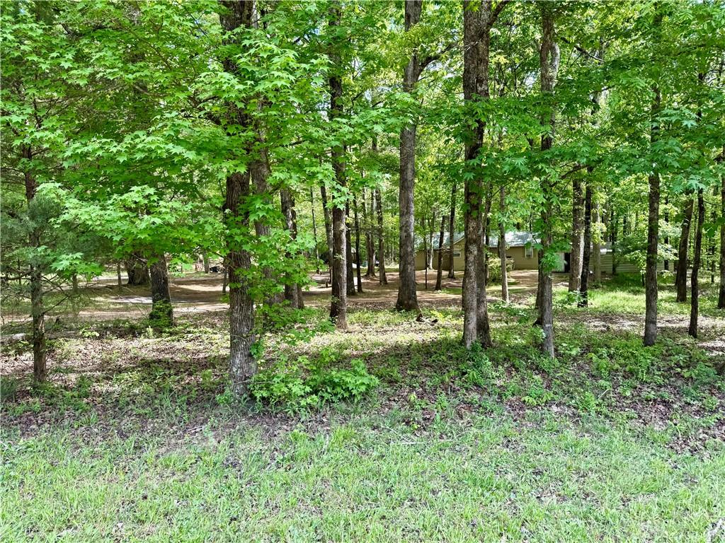 27 Hawks Trail Newborn, GA 30056 - Photo 30 of 33 a green field with lots of trees