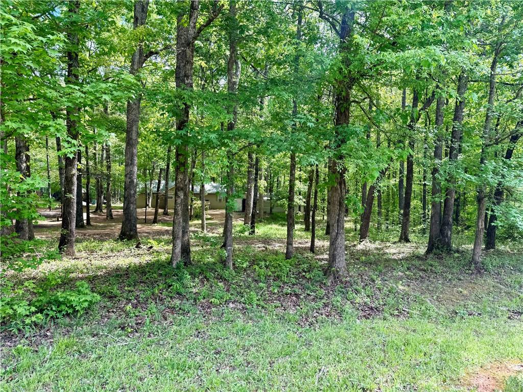 27 Hawks Trail Newborn, GA 30056 - Photo 31 of 33 a big yard with lots of green space and trees