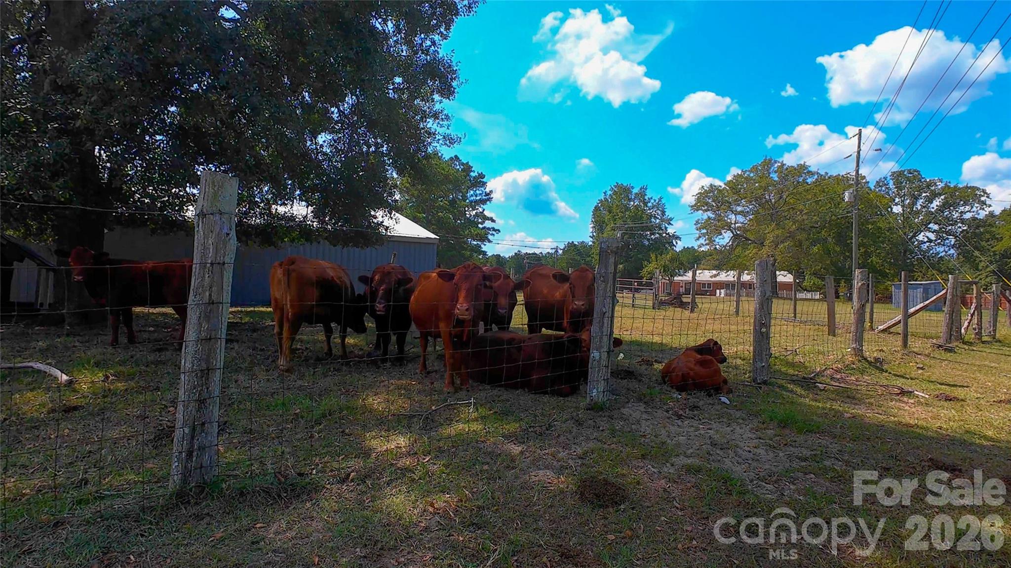 1467 Airport Road Pageland, SC 29728 - Photo 10 of 25 Gallery Image 10
