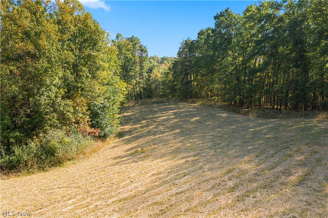202 Mount Carmel Road Walker, WV 26180 - Photo 11 of 25 Gallery Image 11