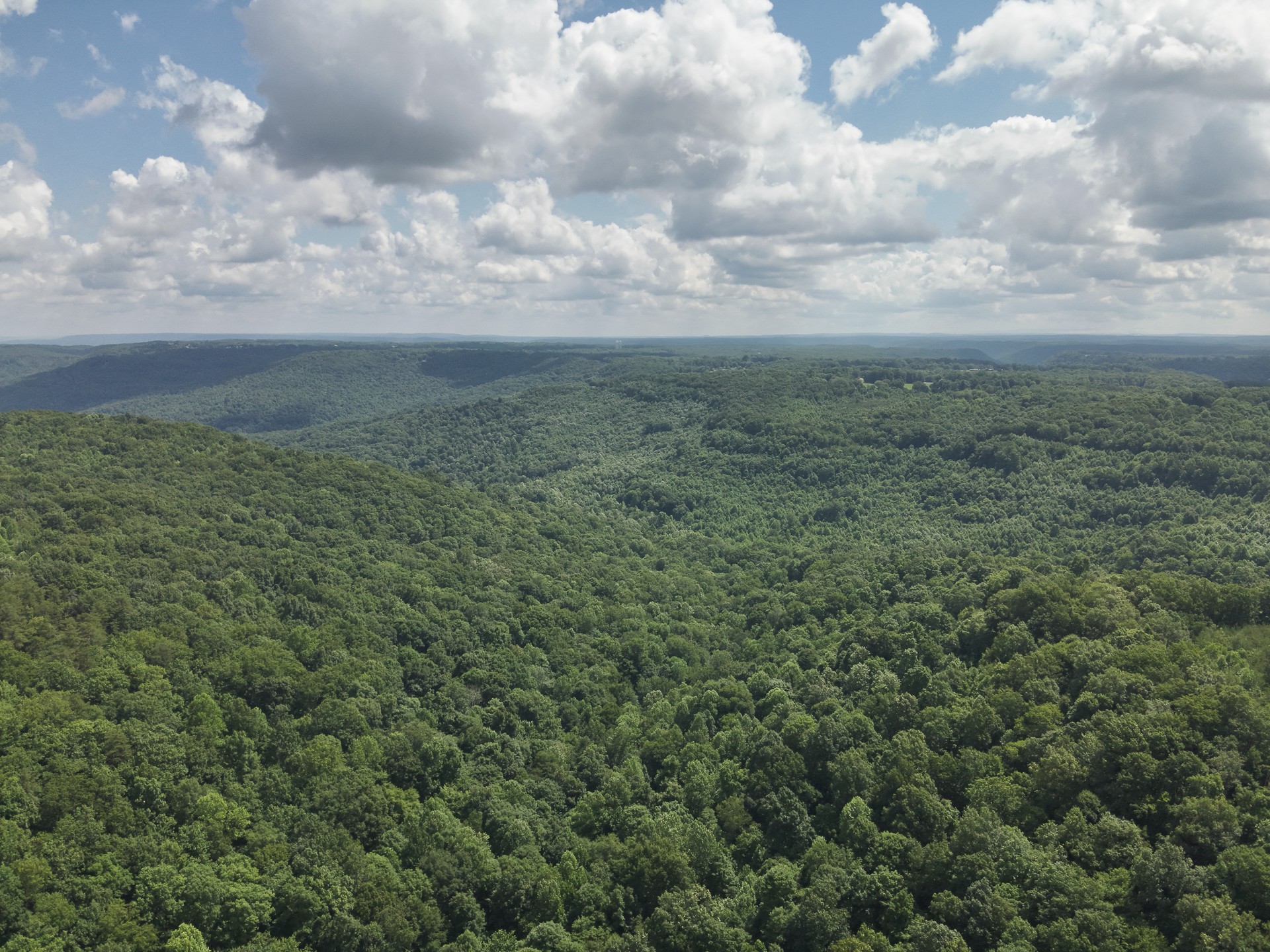 0 Long Fork Creek Road Spencer, TN 38585 - Photo 22 of 45