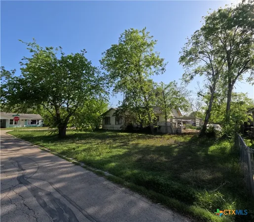 a view of a park with large trees