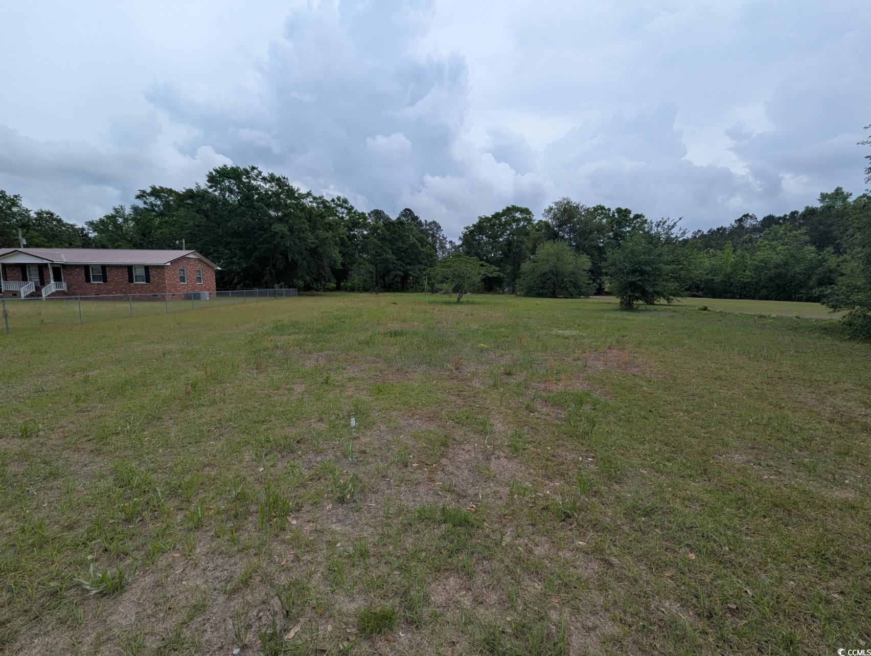 450 Hayfield Road Georgetown, SC 29440 - Photo 3 of 5 View of yard with fence, a view of trees, and a rural view