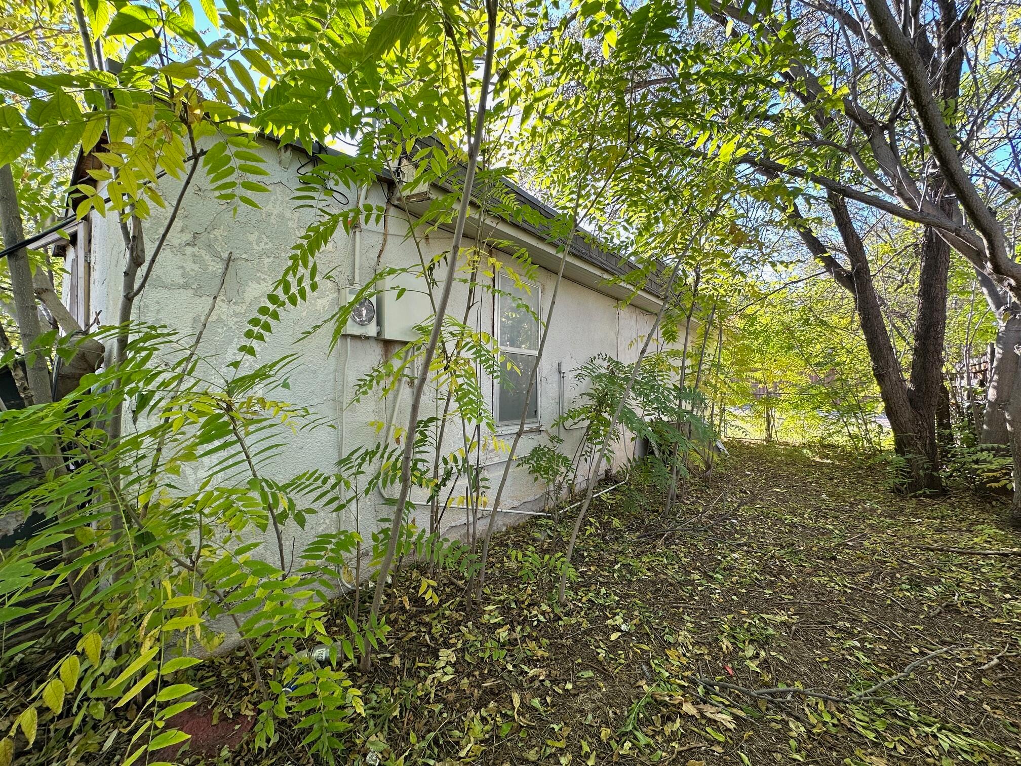 1309 Herman Street Amarillo, TX 79102 - Photo 3 of 4 a backyard of a house with lots of green space