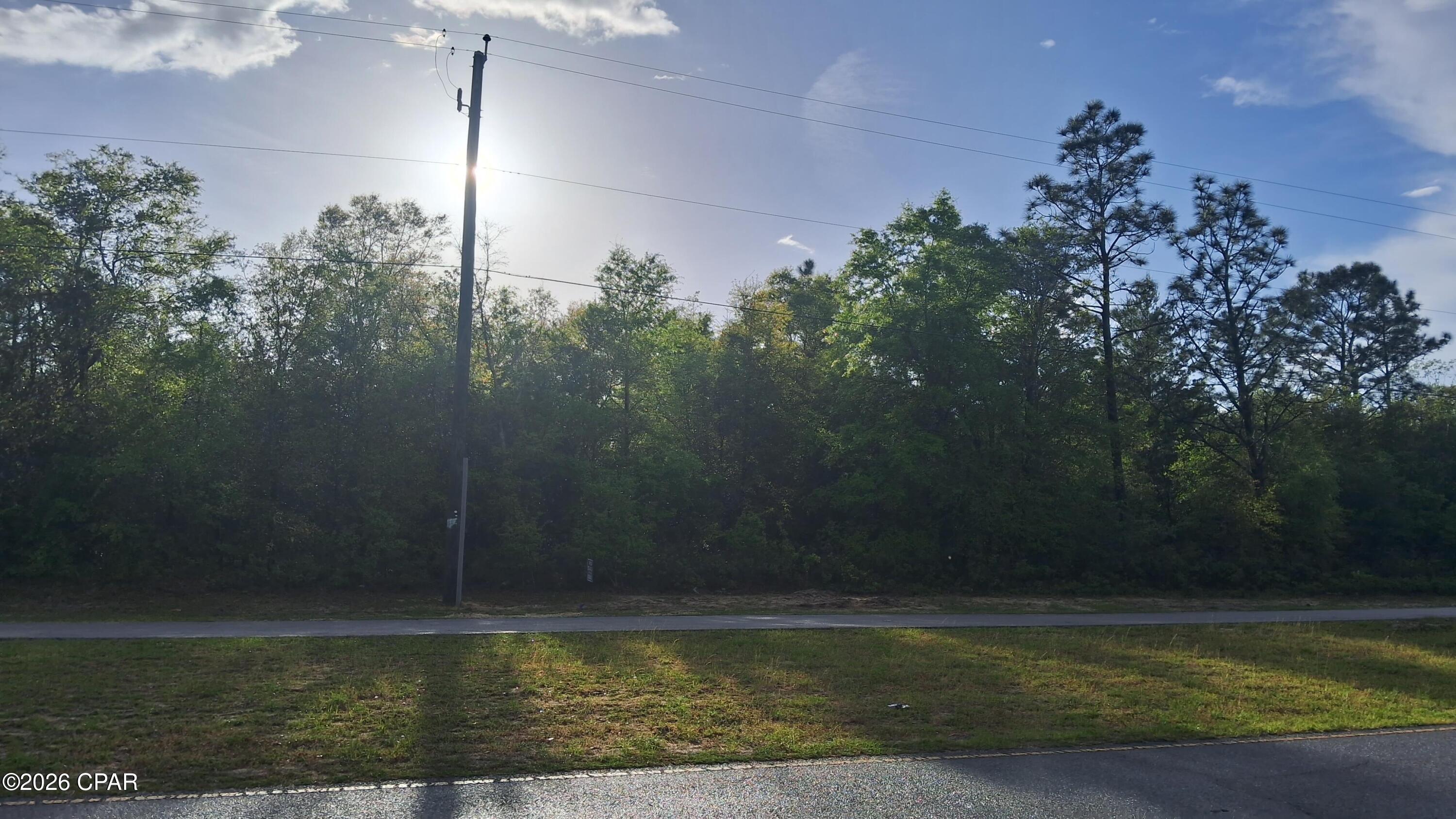 0 Deltona Boulevard Chipley, FL 32428 - Photo 4 of 8
