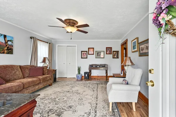 a living room with furniture and a couch