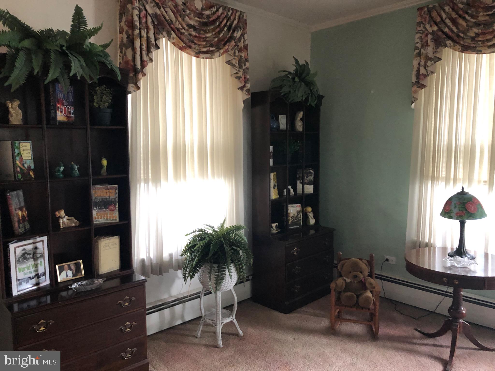 320 Cameron Street Marysville, PA 17053 - Photo 10 of 15 a living room with furniture and a potted plant