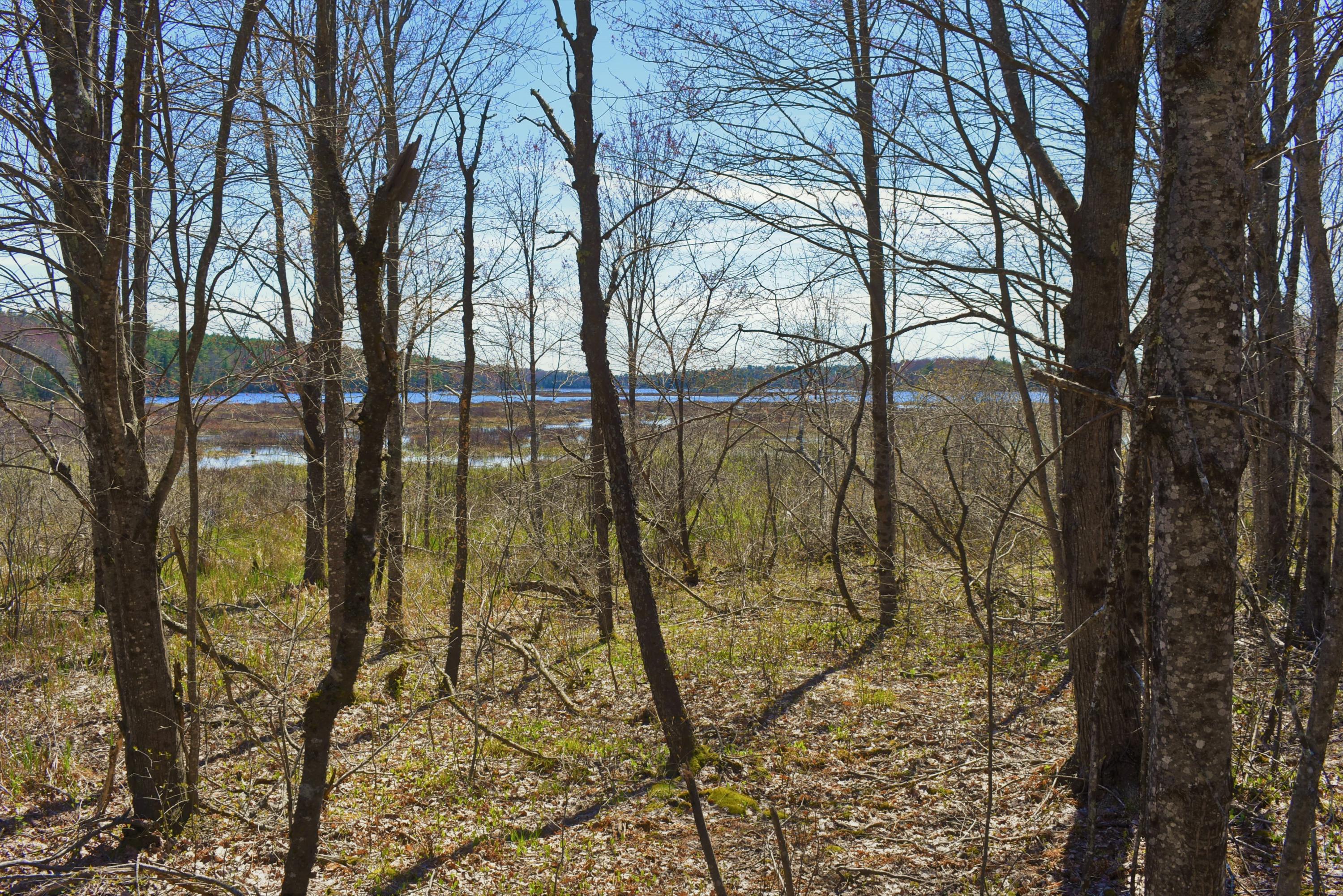 0 Bog Road Dresden, ME 04342 - Photo 7 of 13 DSC_1952