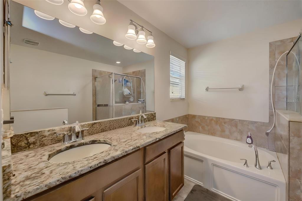 1902 Hawks View Drive Ruskin, FL 33570 - Photo 23 of 41 a bathroom with a granite countertop sink a large mirror and a bathtub