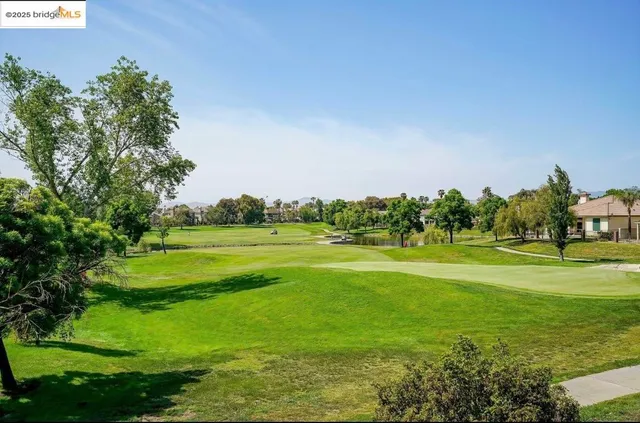 a view of a big yard with a large trees