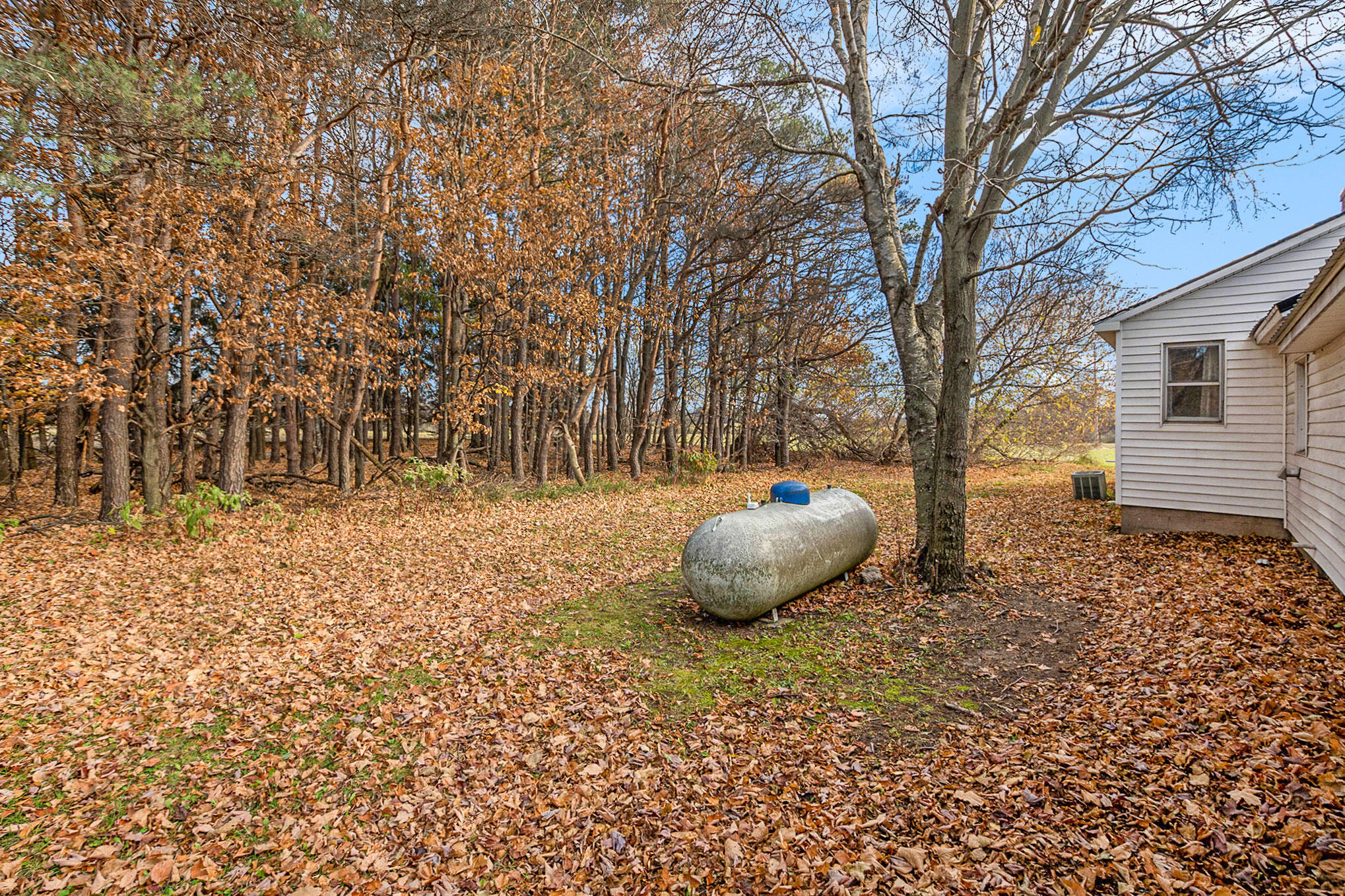 968 West Freeman Road Free Soil, MI 49411 - Photo 20 of 23 DSC07519