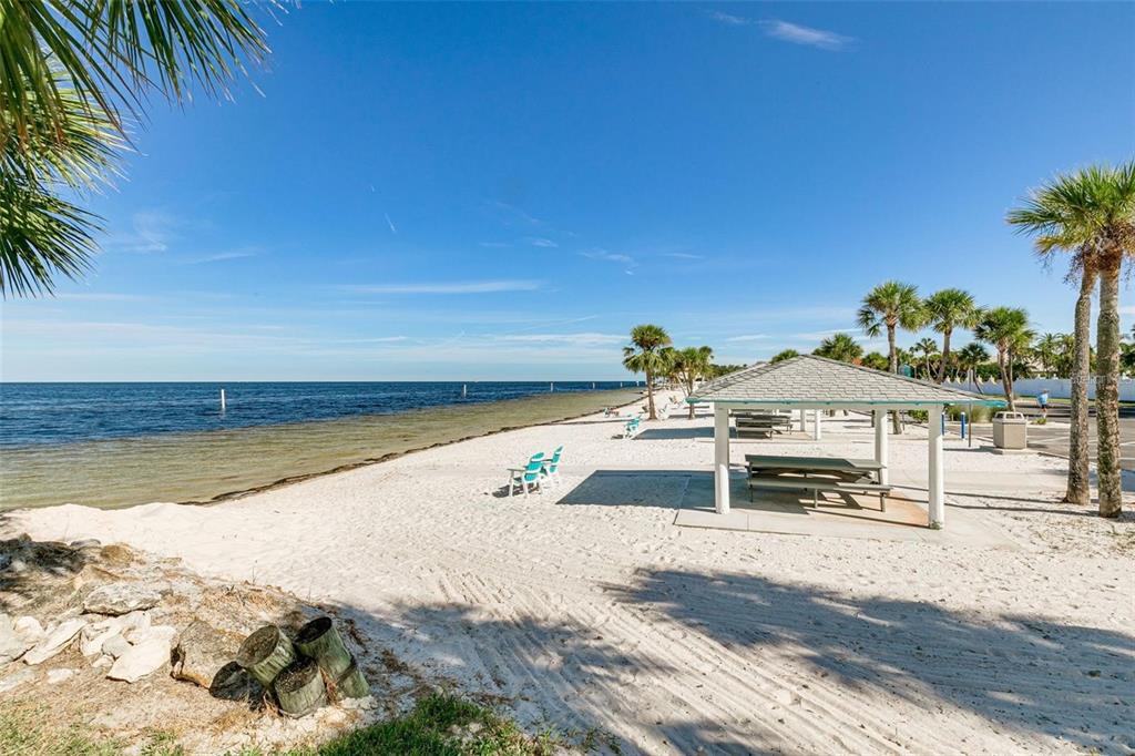 4869 Shell Stream Boulevard New Port Richey, FL 34652 - Photo 45 of 46 a view of a swimming pool with an outdoor space