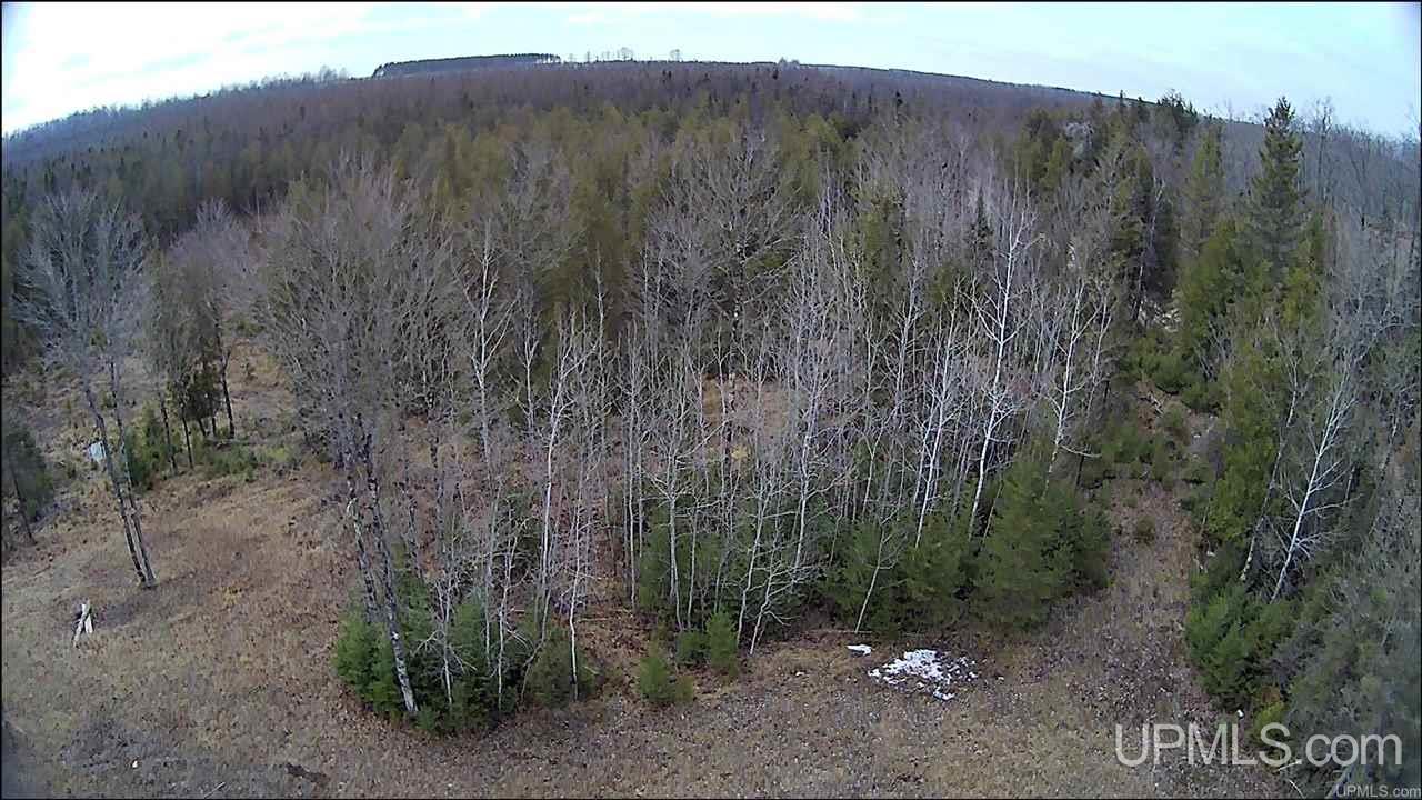 18024 Vega Road Powers, MI 49874 - Photo 12 of 15 Gallery Image 12