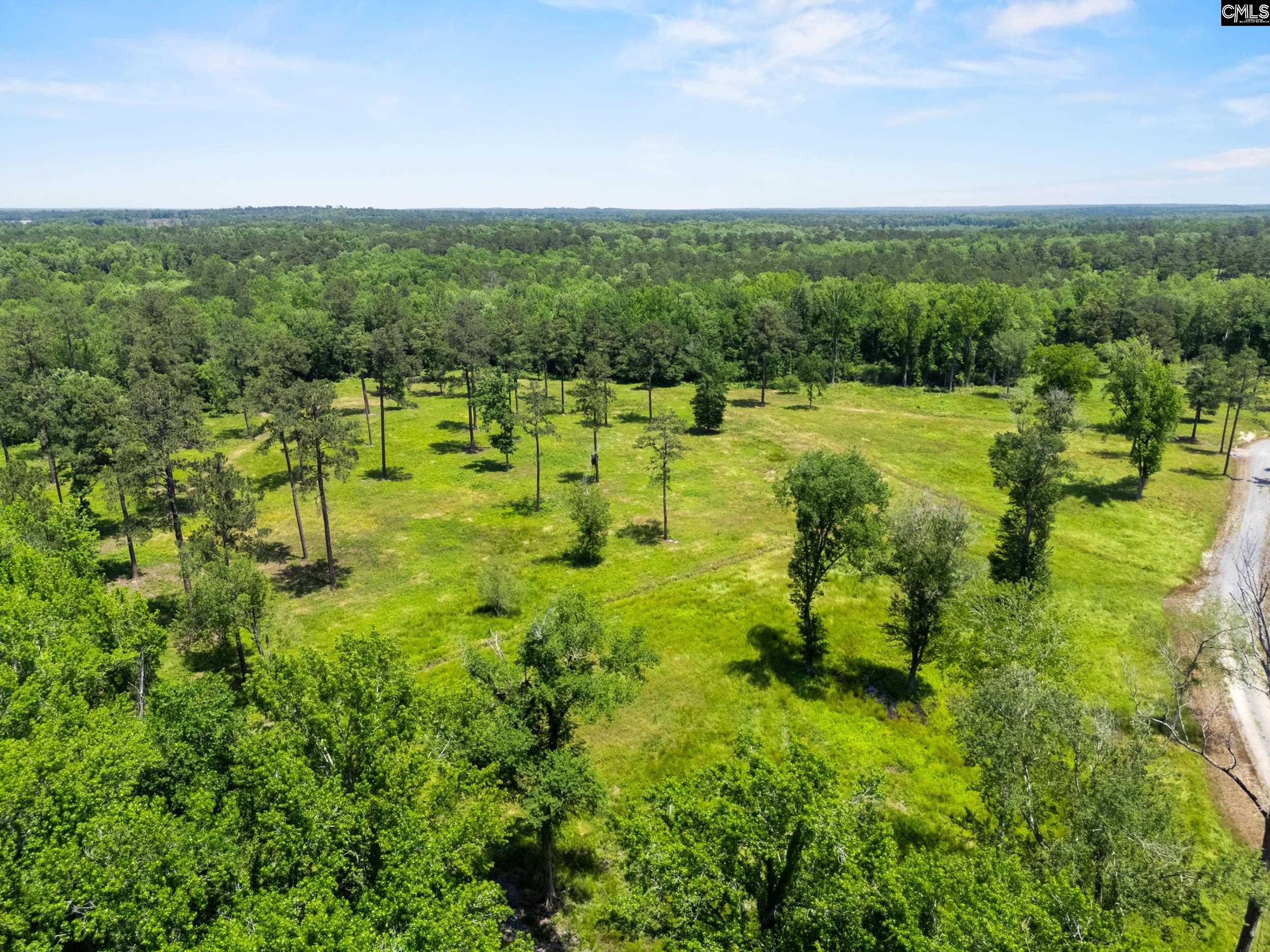 1626-01 Sumter Highway Rembert, SC 29128 - Photo 5 of 16