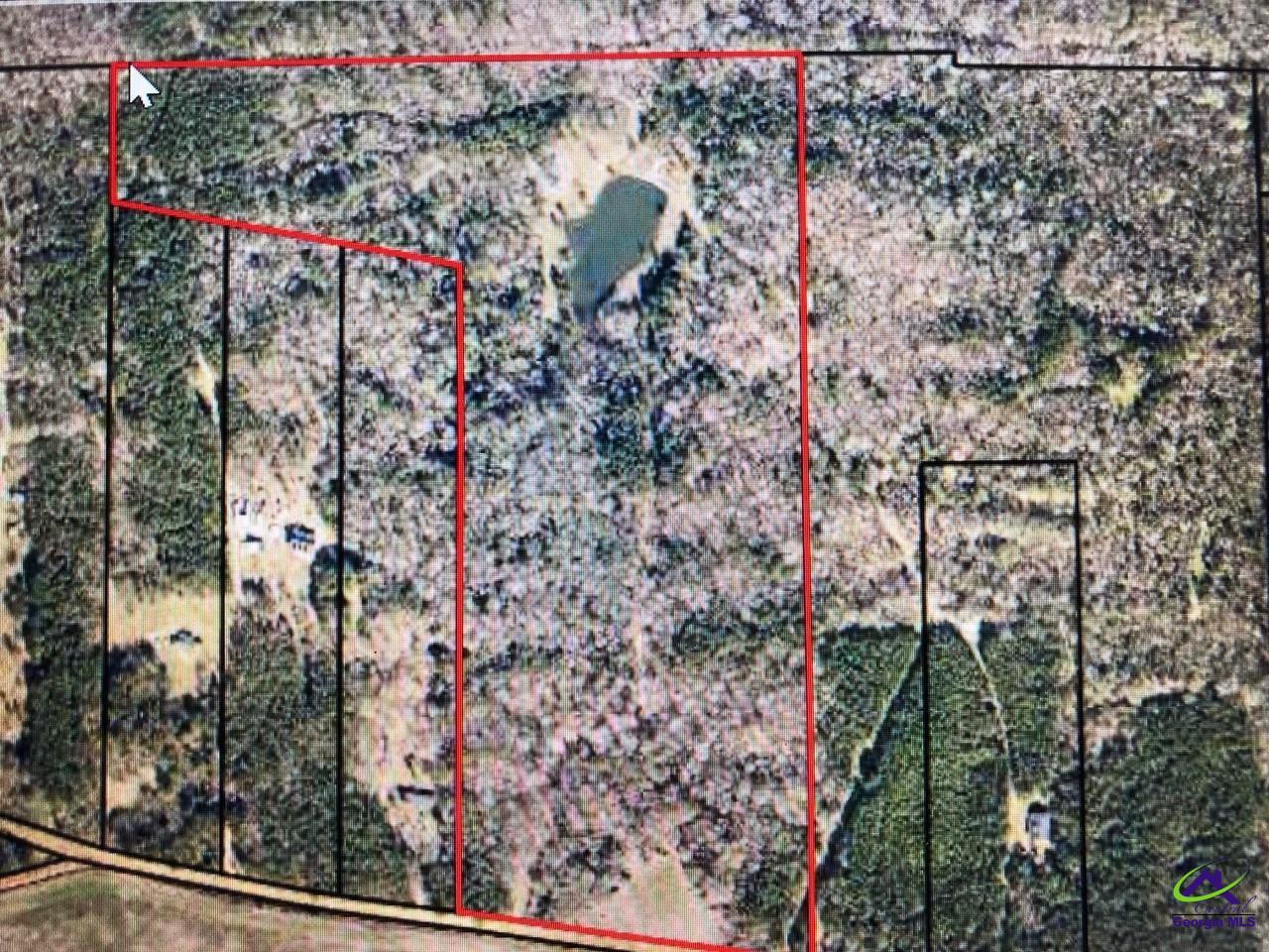 0 County Line Road Elko, GA 31025 - Photo 3 of 12