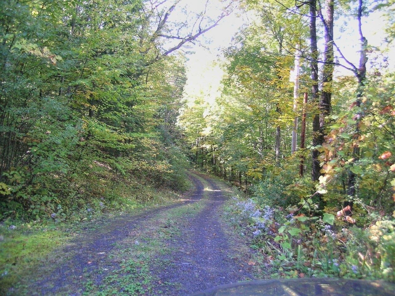 386 Singing Cedars Road Orwell, VT 05760 - Photo 20 of 40