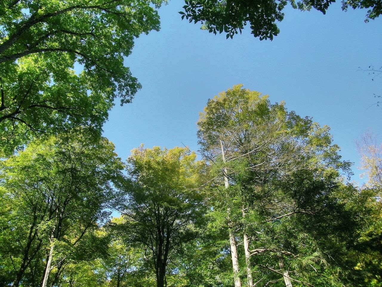 386 Singing Cedars Road Orwell, VT 05760 - Photo 29 of 40