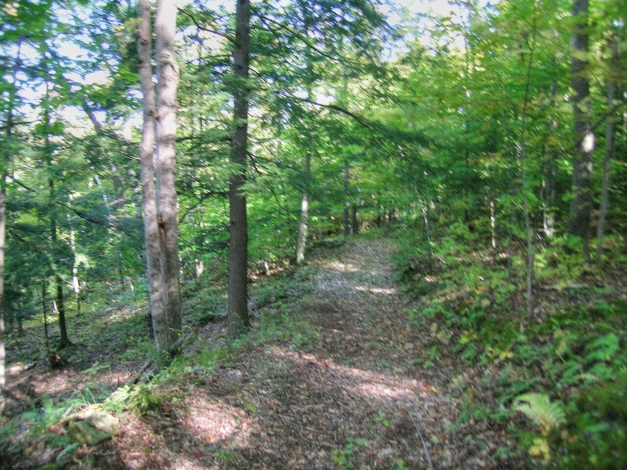 386 Singing Cedars Road Orwell, VT 05760 - Photo 32 of 40