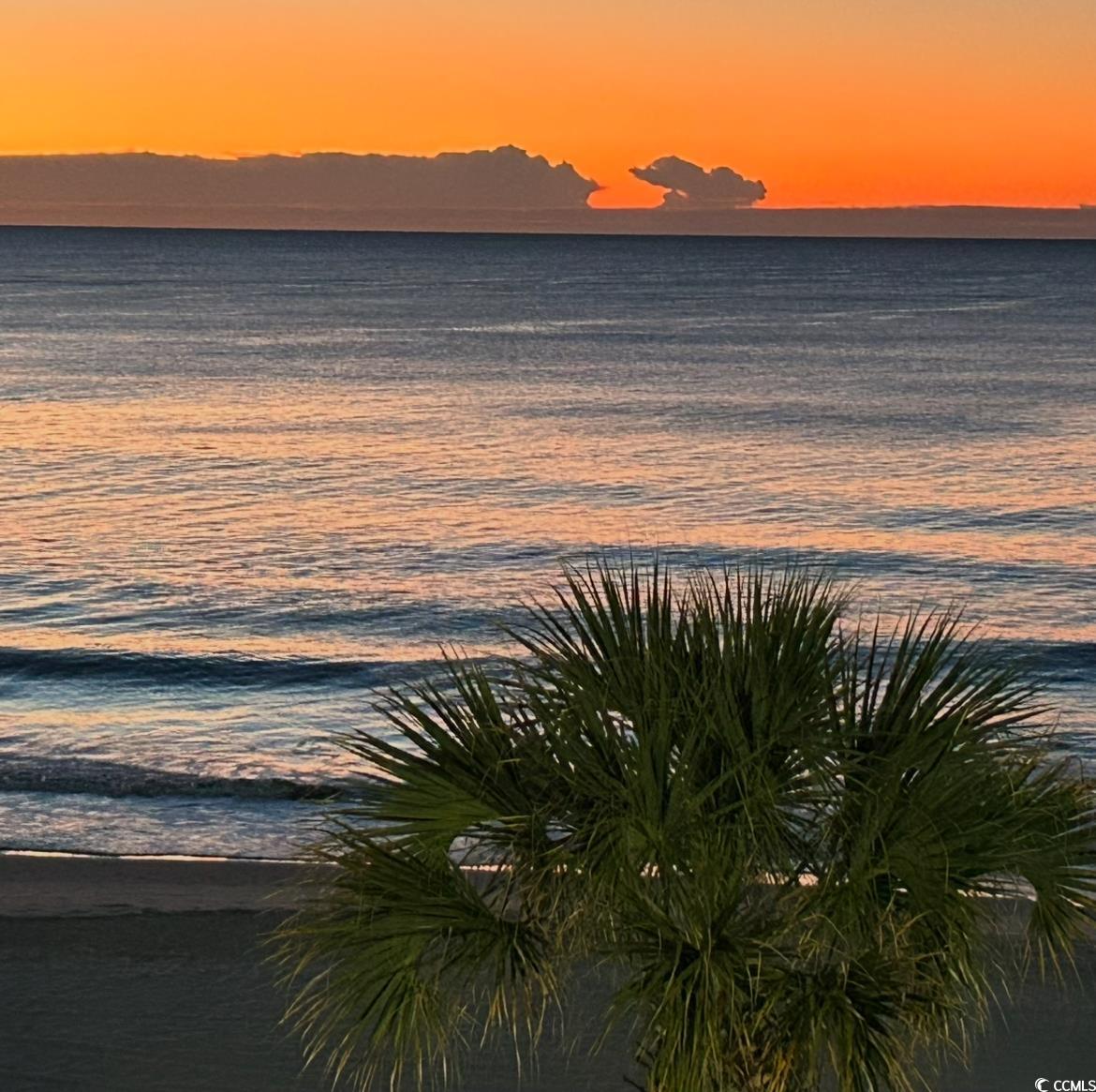 2311 South Ocean Boulevard, Unit 430 Myrtle Beach, SC 29577 - Photo 37 of 37