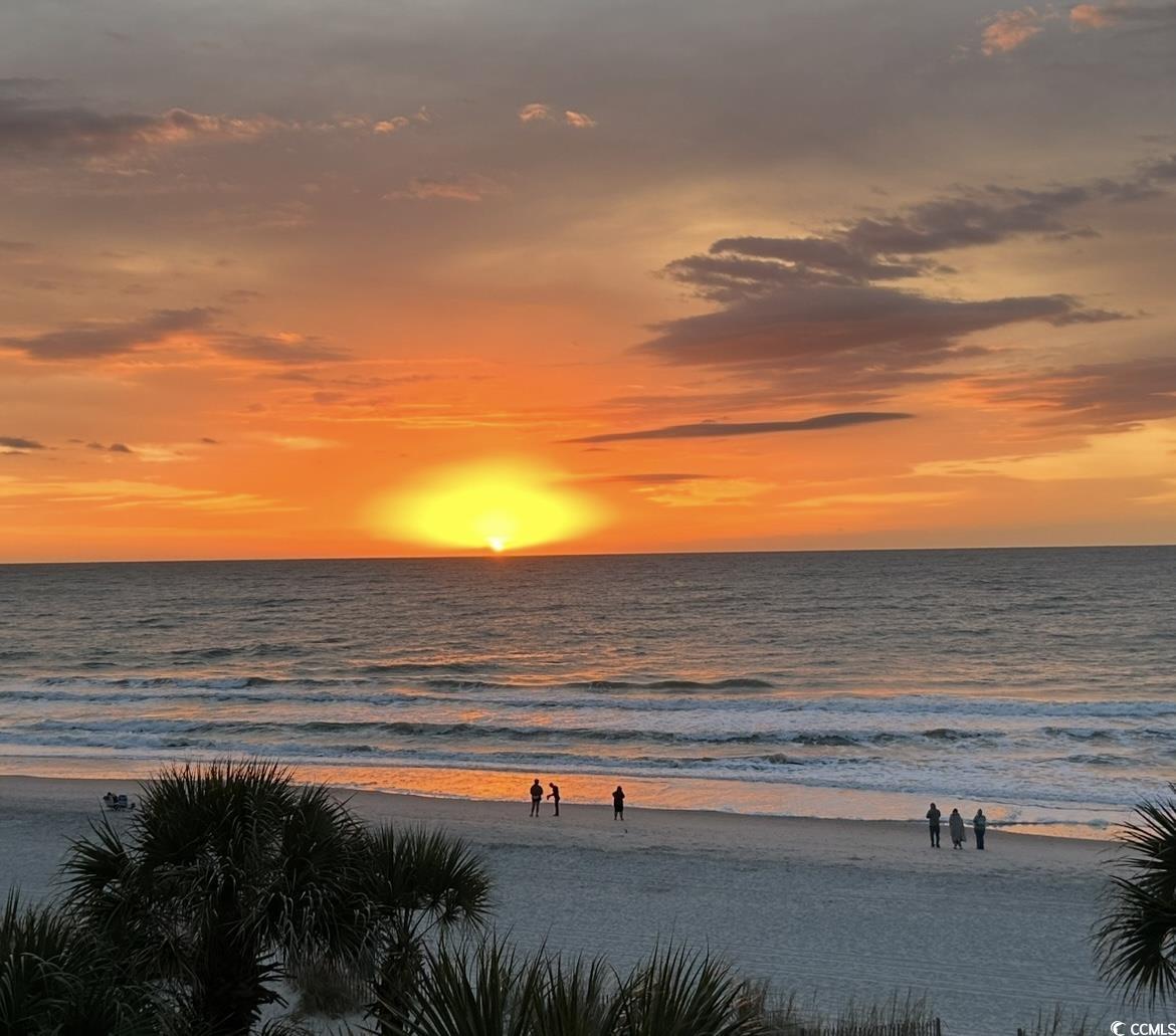 2311 South Ocean Boulevard, Unit 430 Myrtle Beach, SC 29577 - Photo 4 of 37